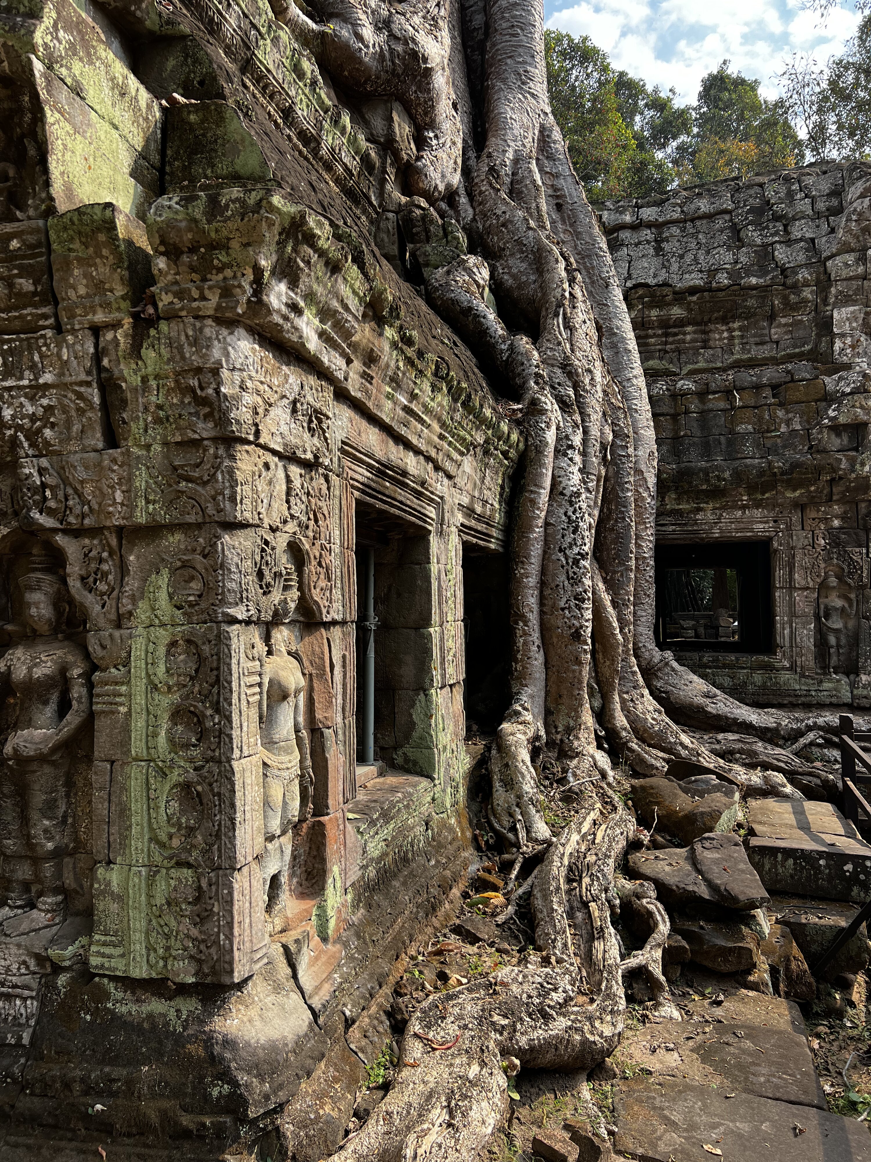 Photo Cambodge Siem Reap Ta Prohm 2023-01 142