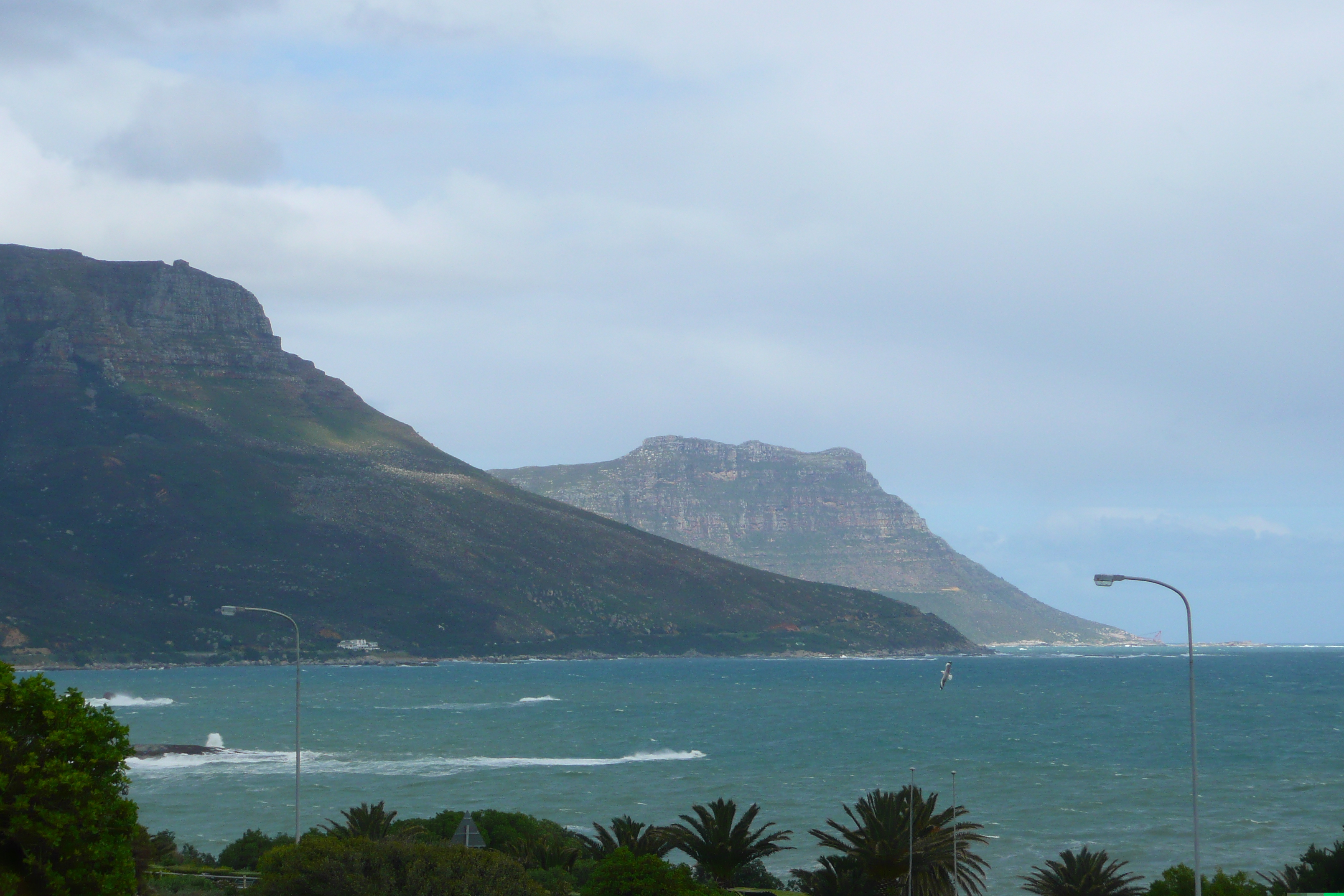 Photo Afrique du Sud Cap de Bonne Espérance 2008-09 110