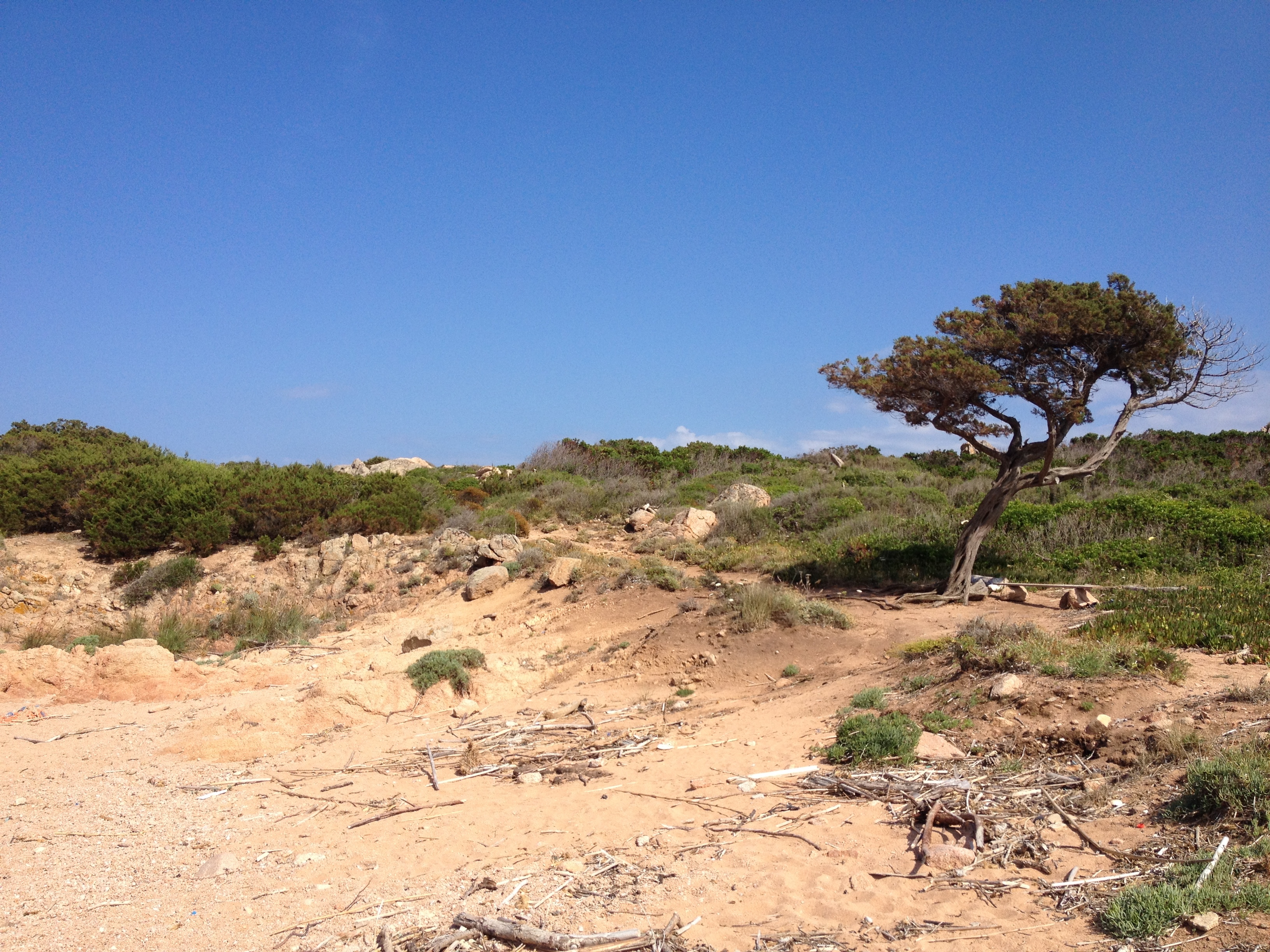 Photo Italie Sardaigne Costa Smeralda 2015-06 118