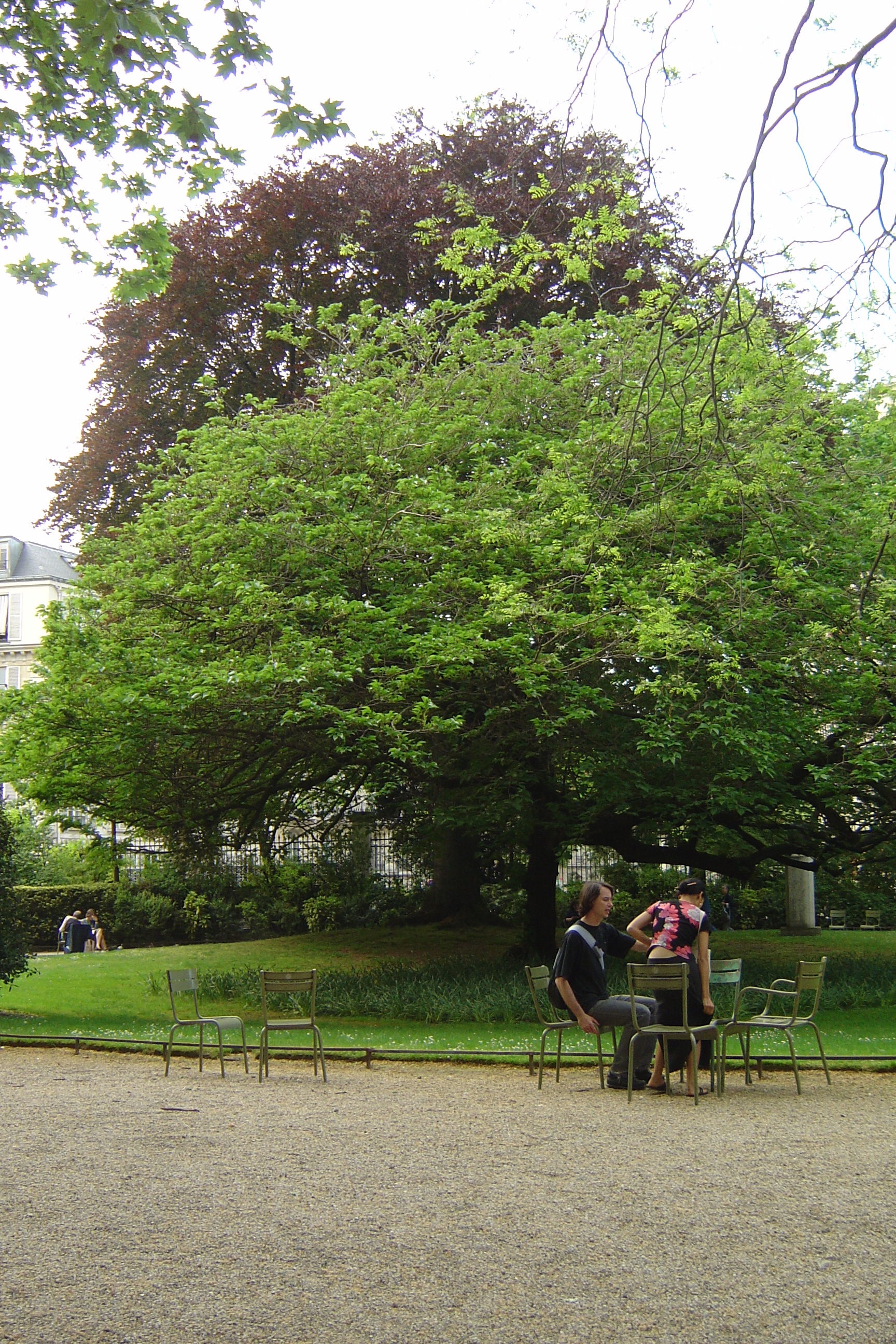 Photo France Paris Jardin du Luxembourg 2007-04 74