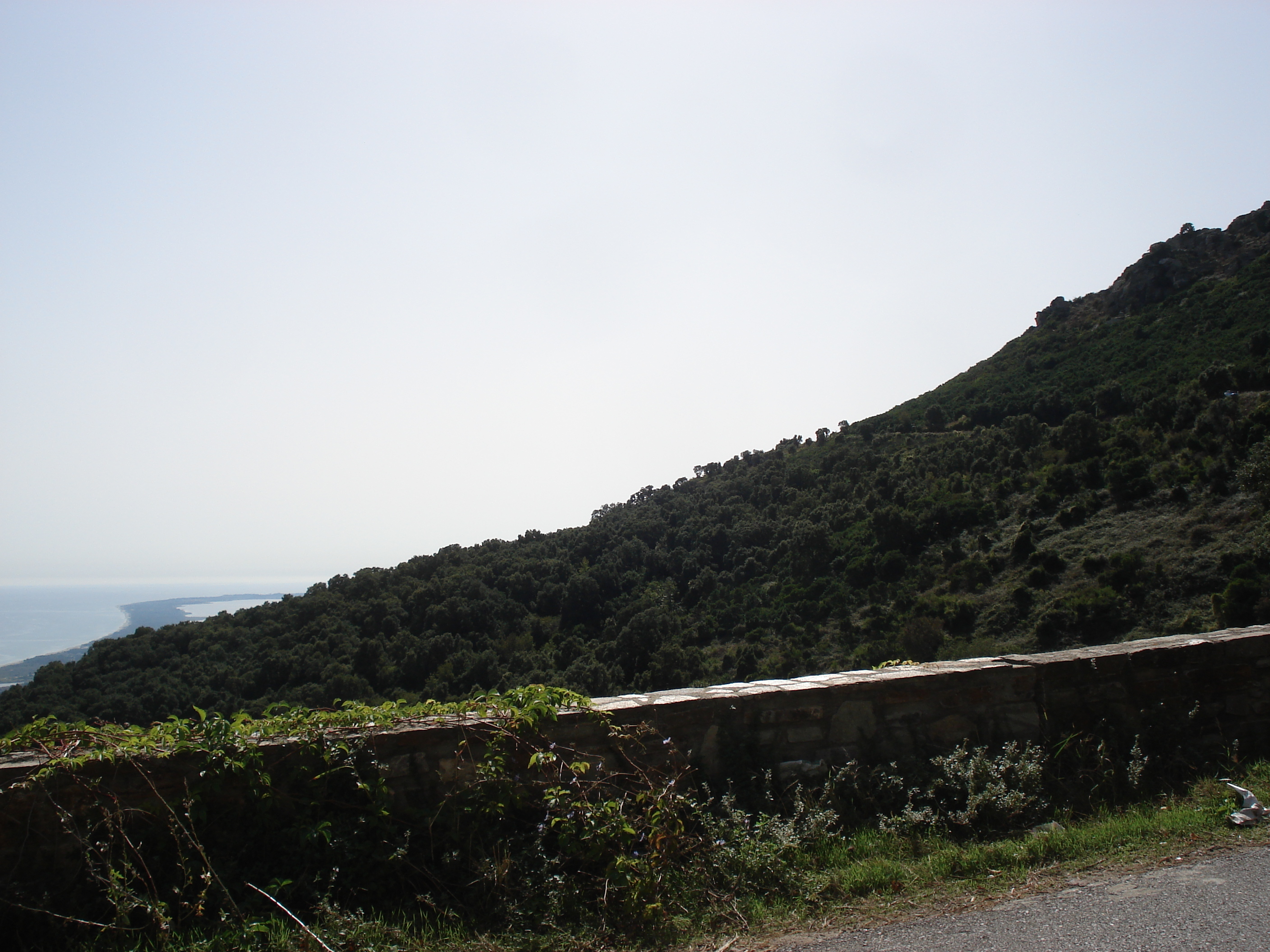 Photo France Corse Bastia to Saint Florent Road 2006-09 31
