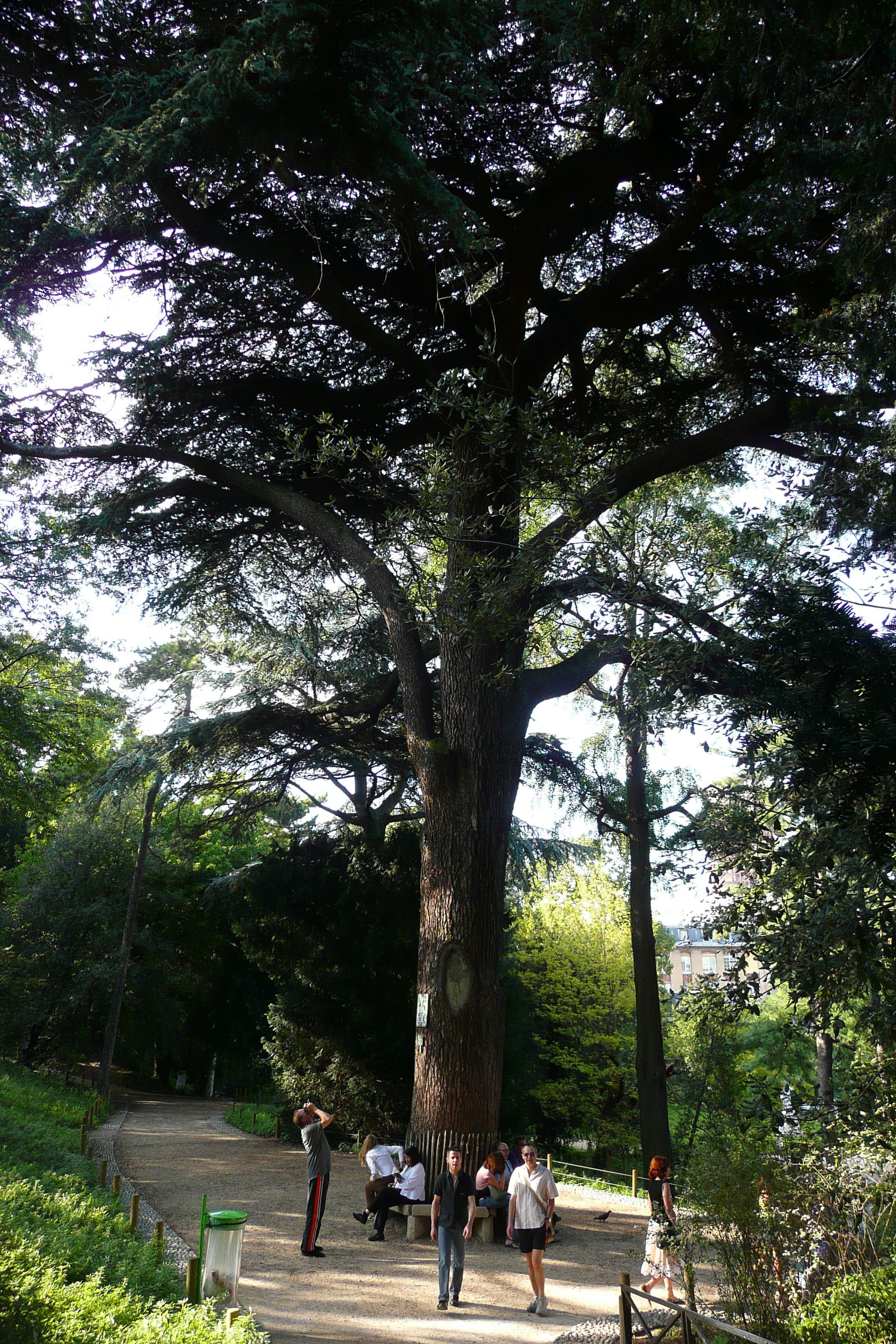 Photo France Paris Jardin des Plantes 2007-08 11