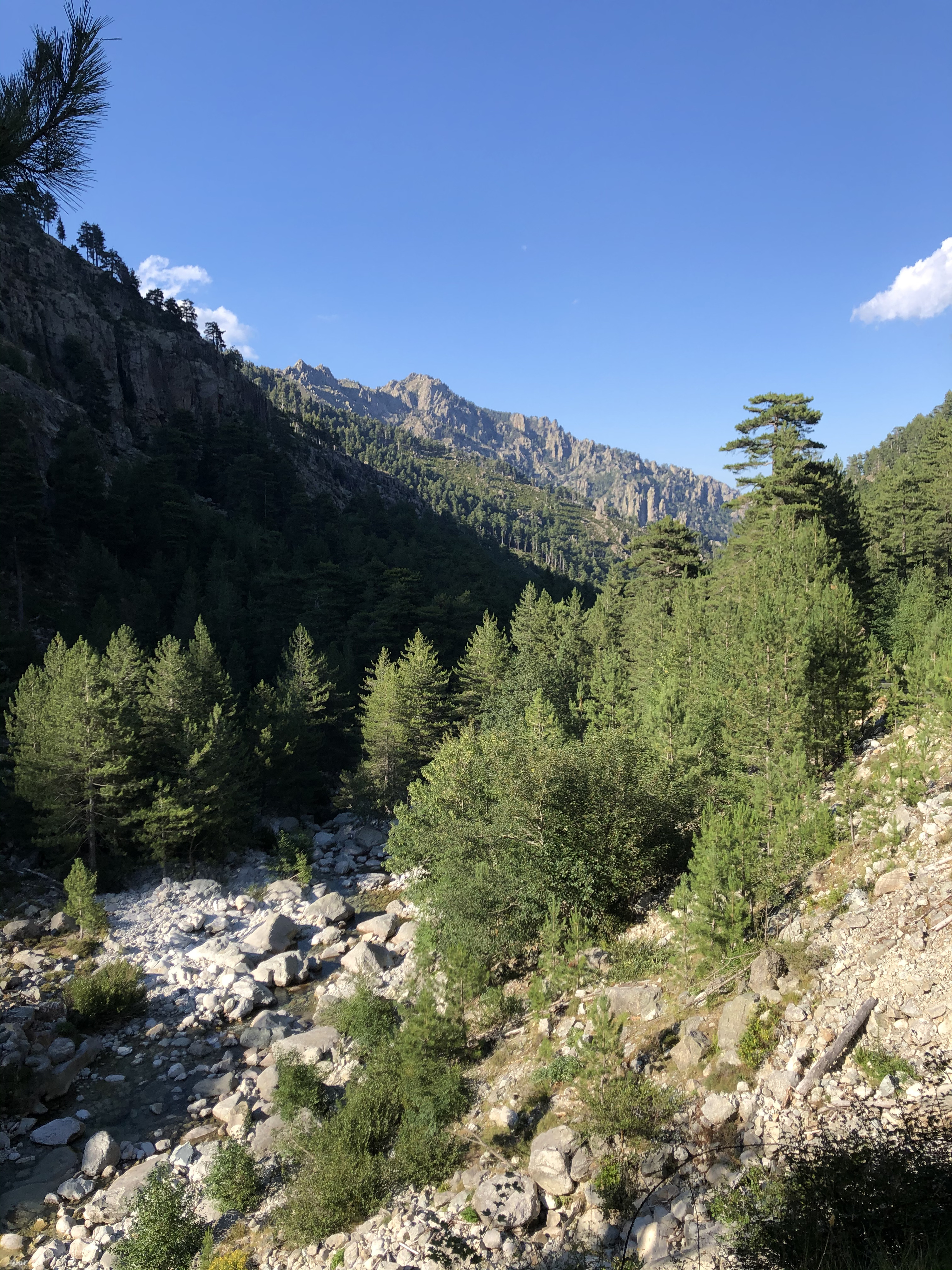 Photo France Corse La Restonica 2020-07 112