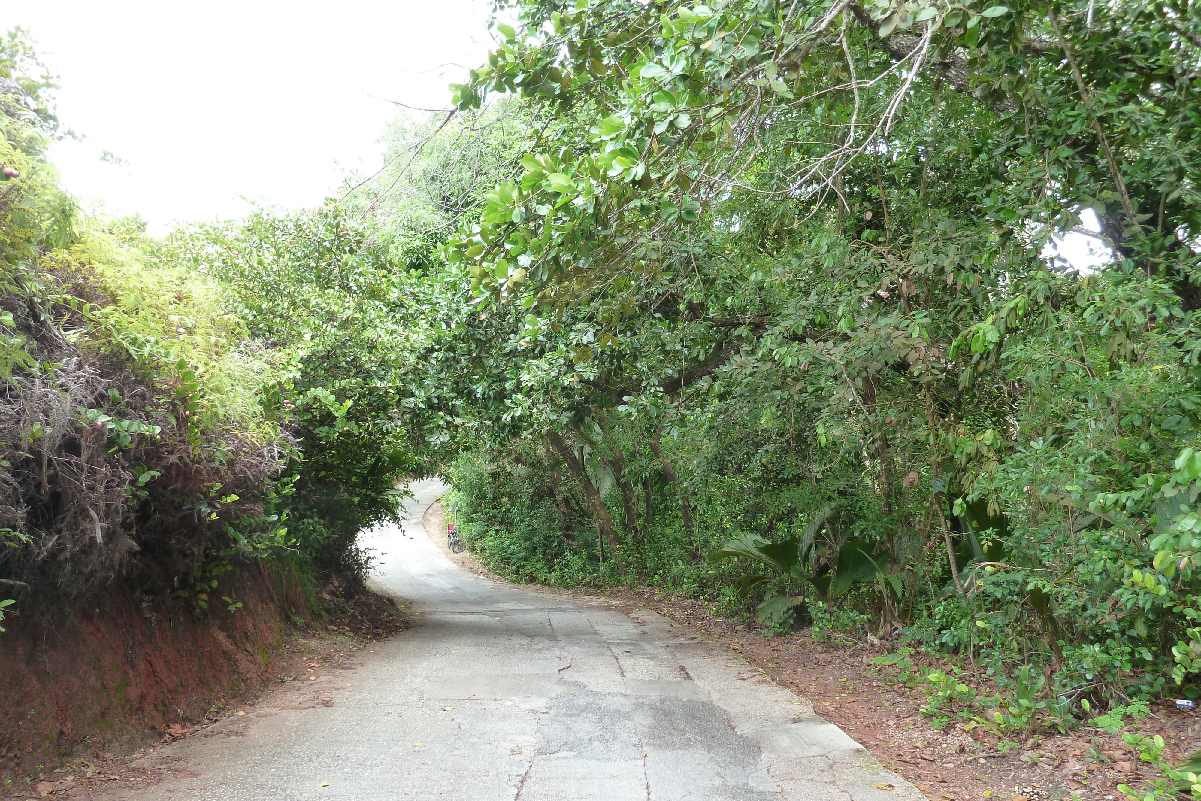 Photo Seychelles Praslin 2011-10 36
