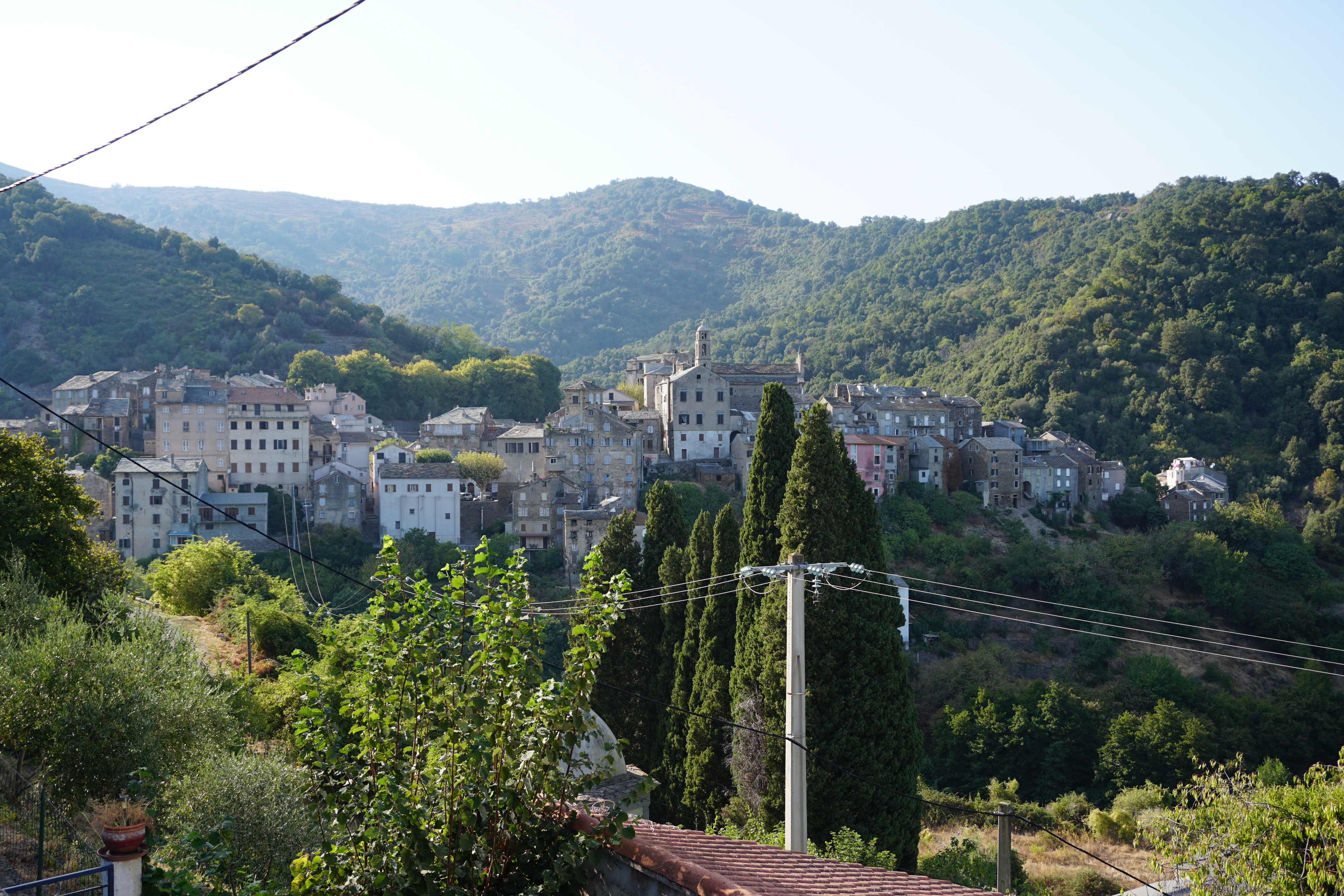 Photo France Corse Vescovato 2017-09 4