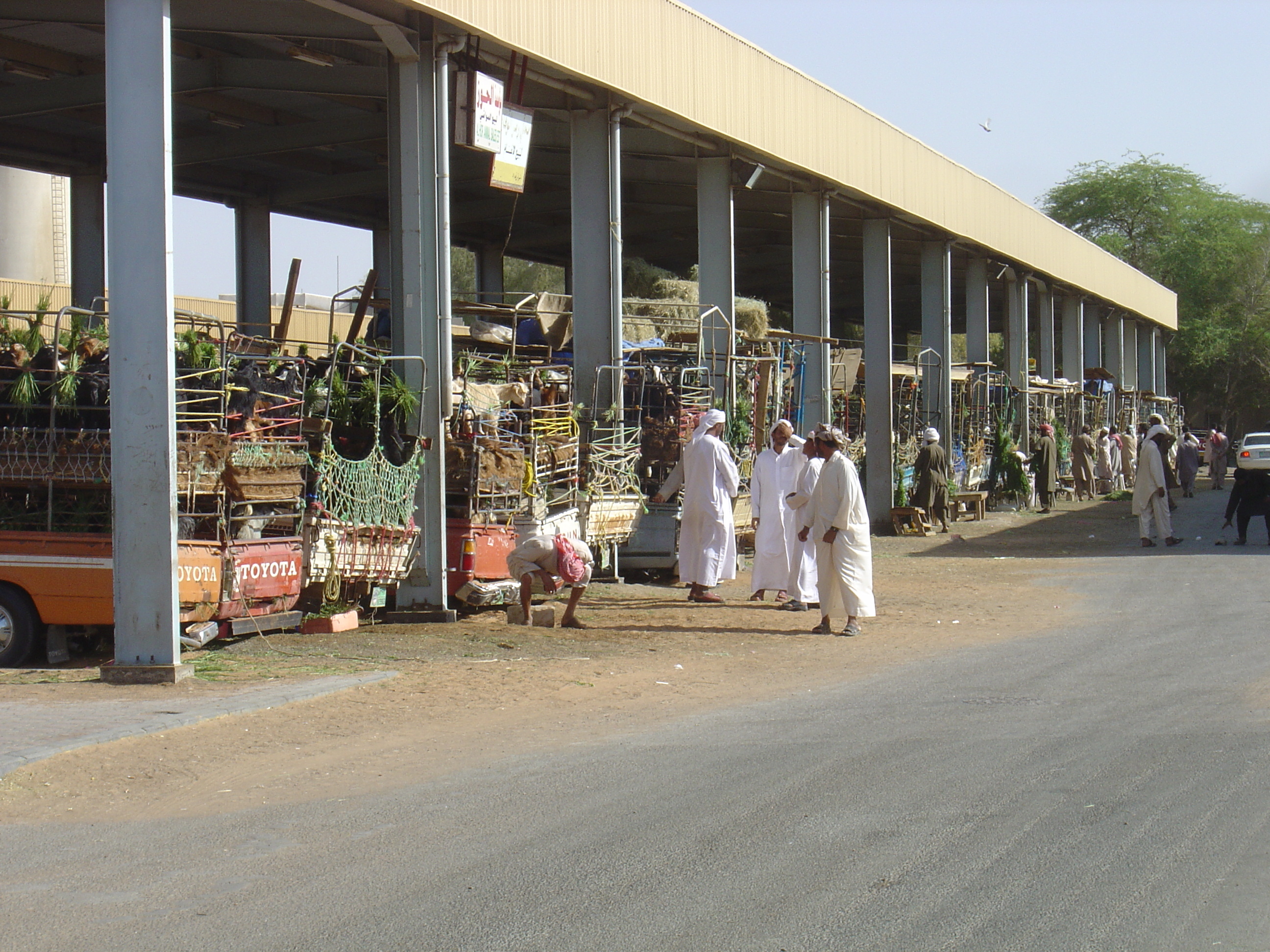 Photo Émirats arabes unis Al Ain 2005-03 61