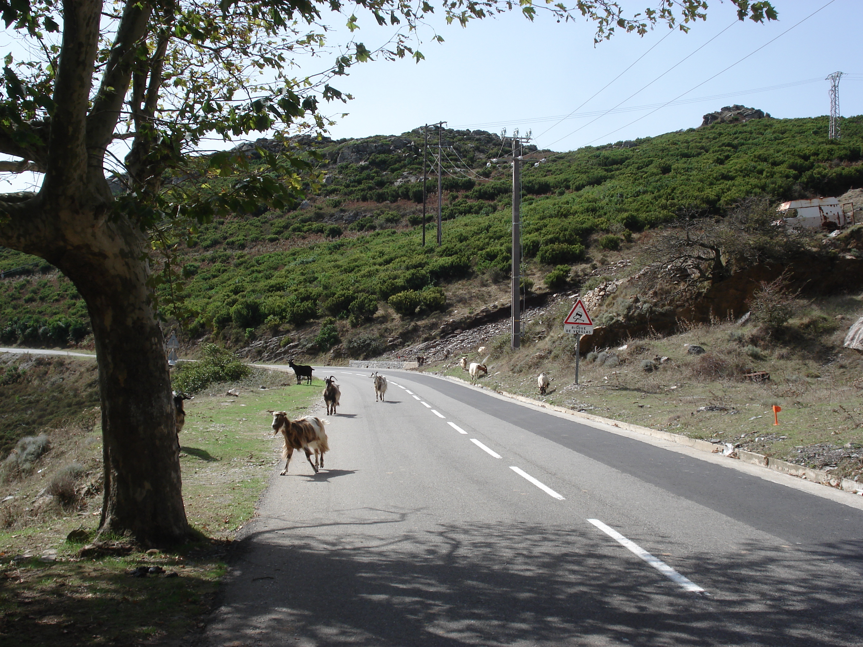 Photo France Corse Bastia to Saint Florent Road 2006-09 34