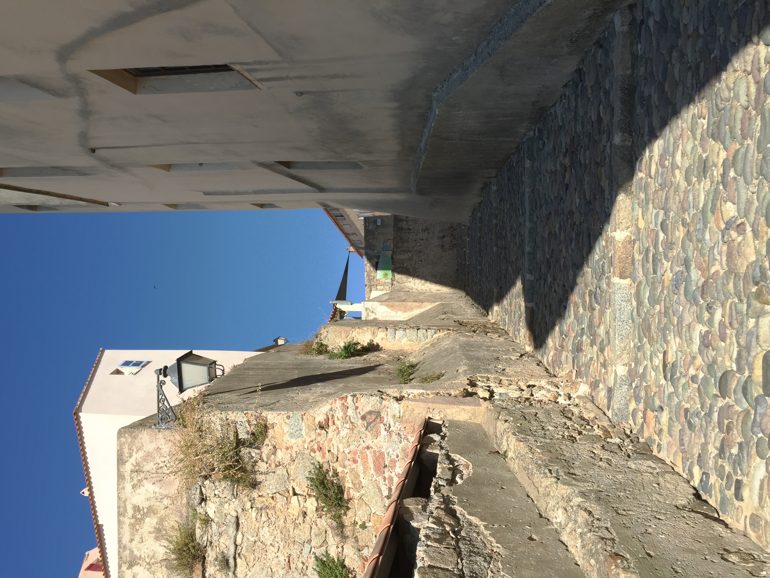 Photo France Corse Calvi 2015-05 34