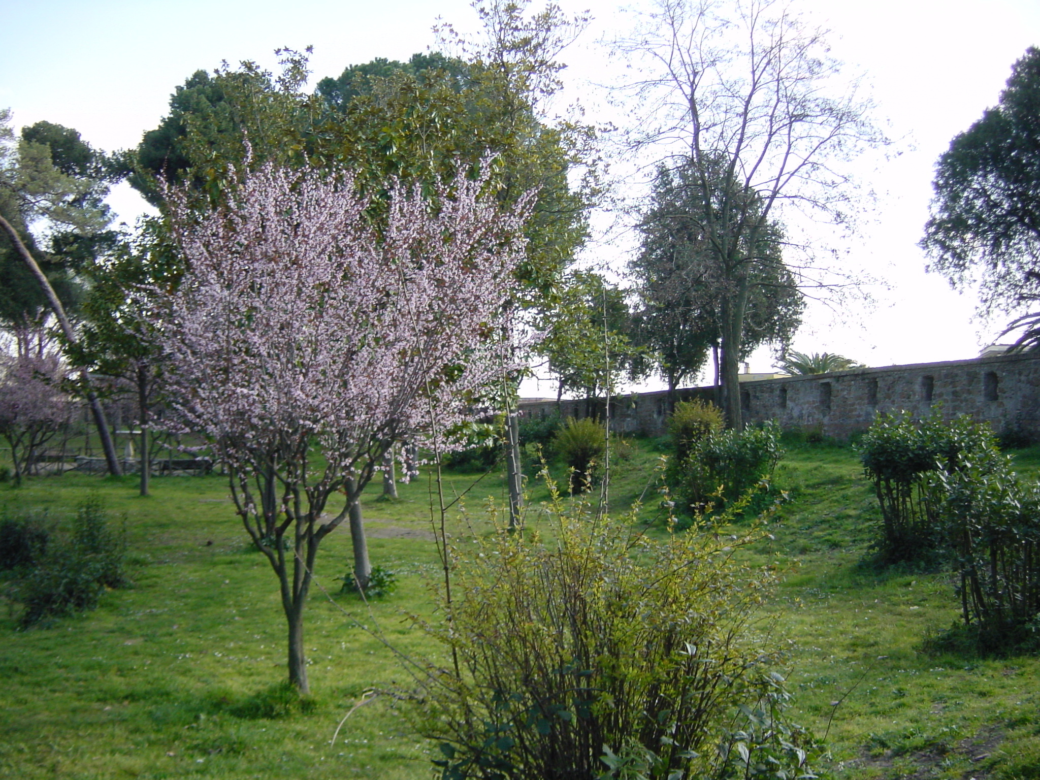 Photo Italie Rome 2003-03 6
