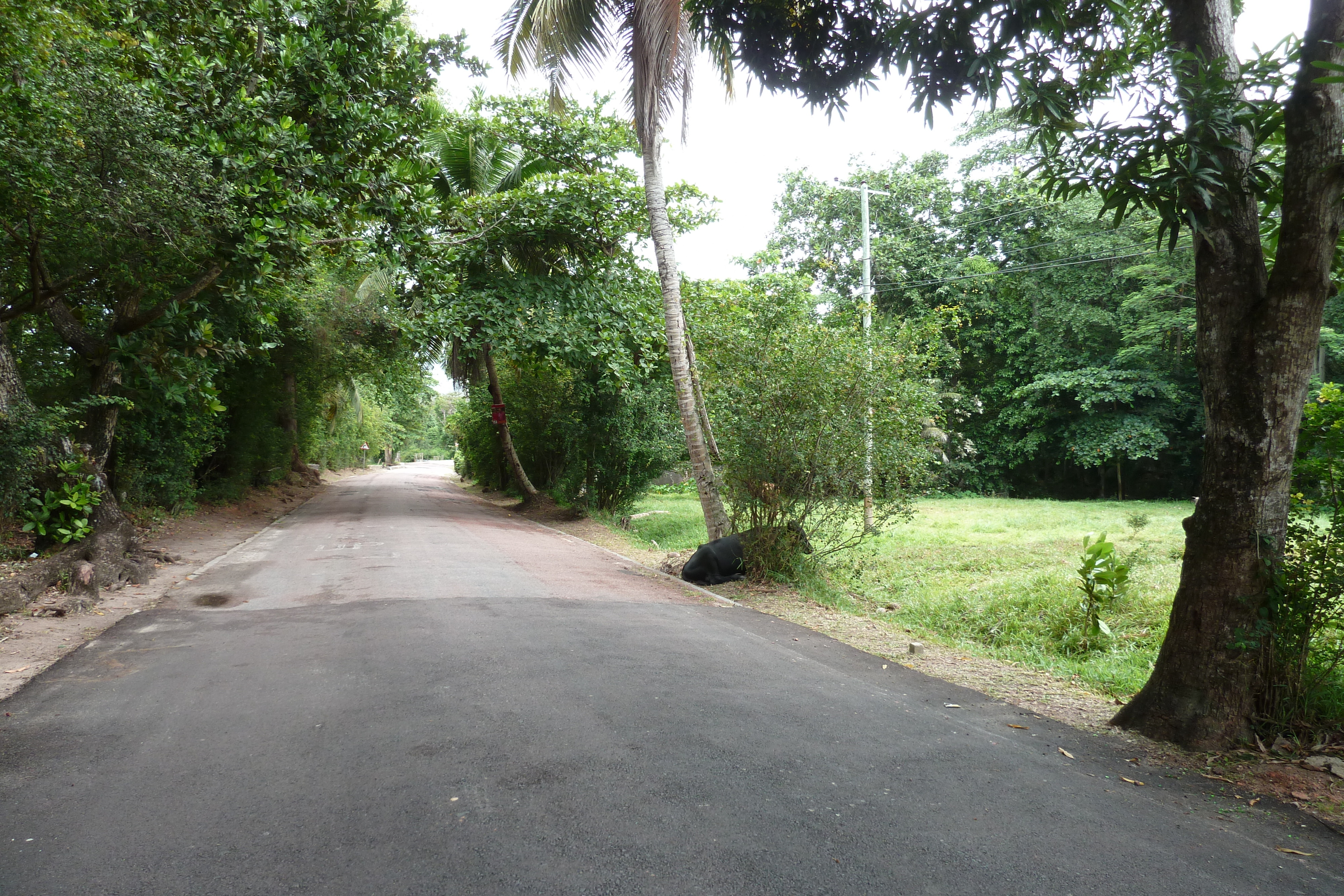 Photo Seychelles Praslin 2011-10 106