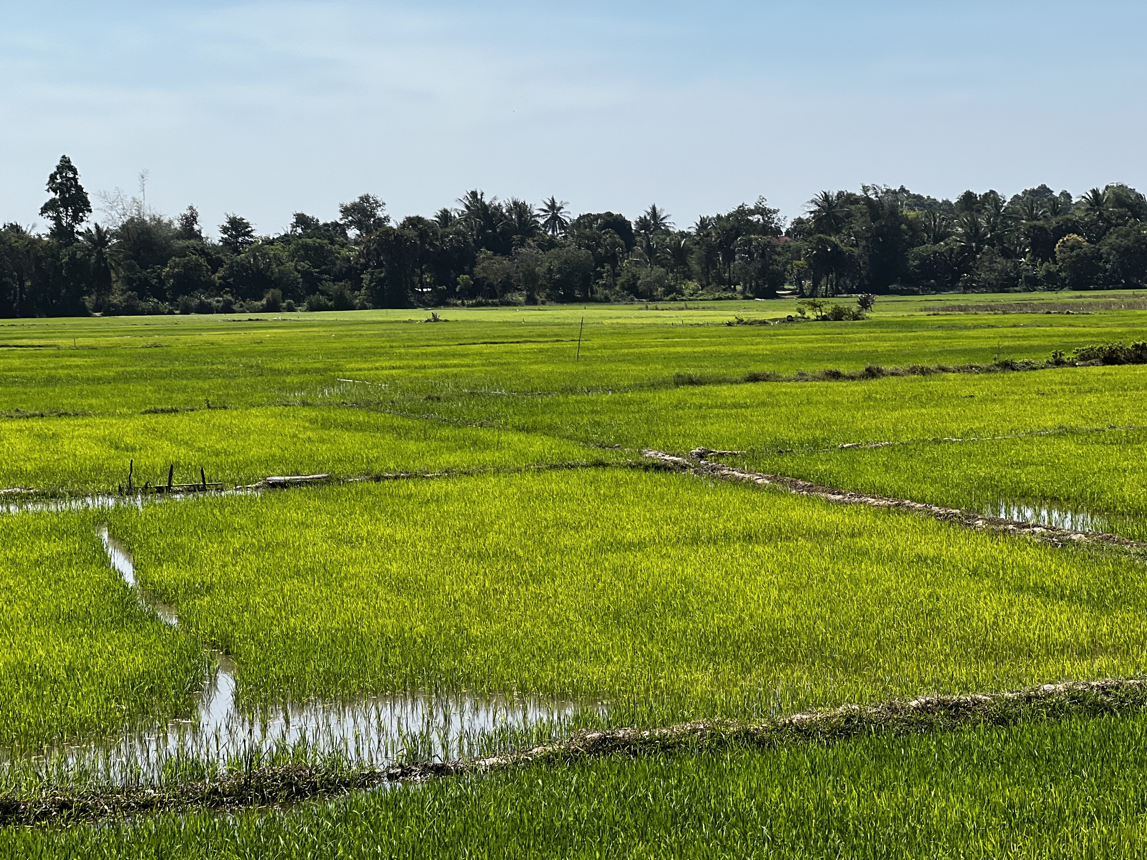 Photo Cambodge Siem Reap 2023-01 131