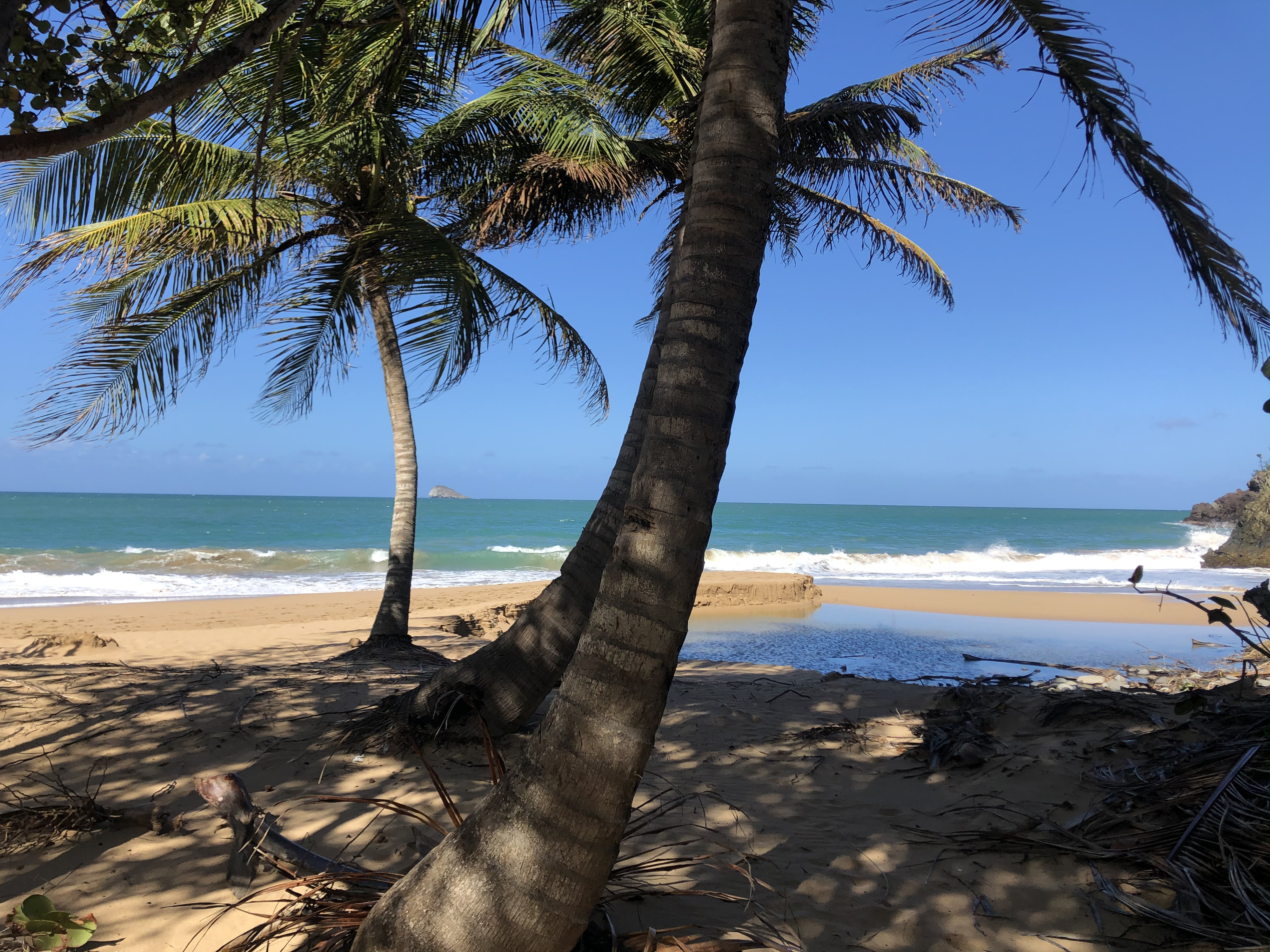 Photo Guadeloupe Fort Royal 2021-02 20