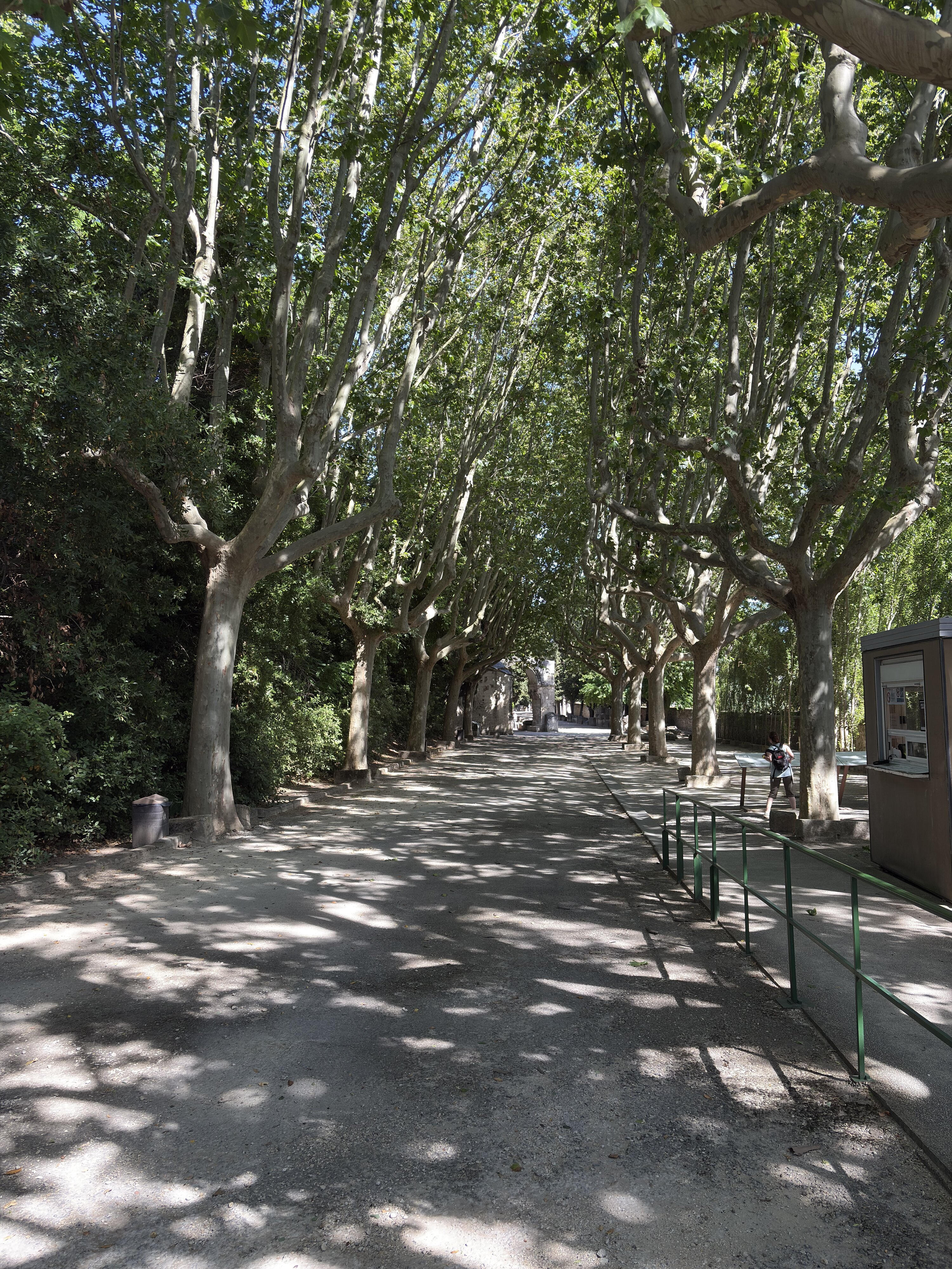 Photo France Arles 2026-06 0