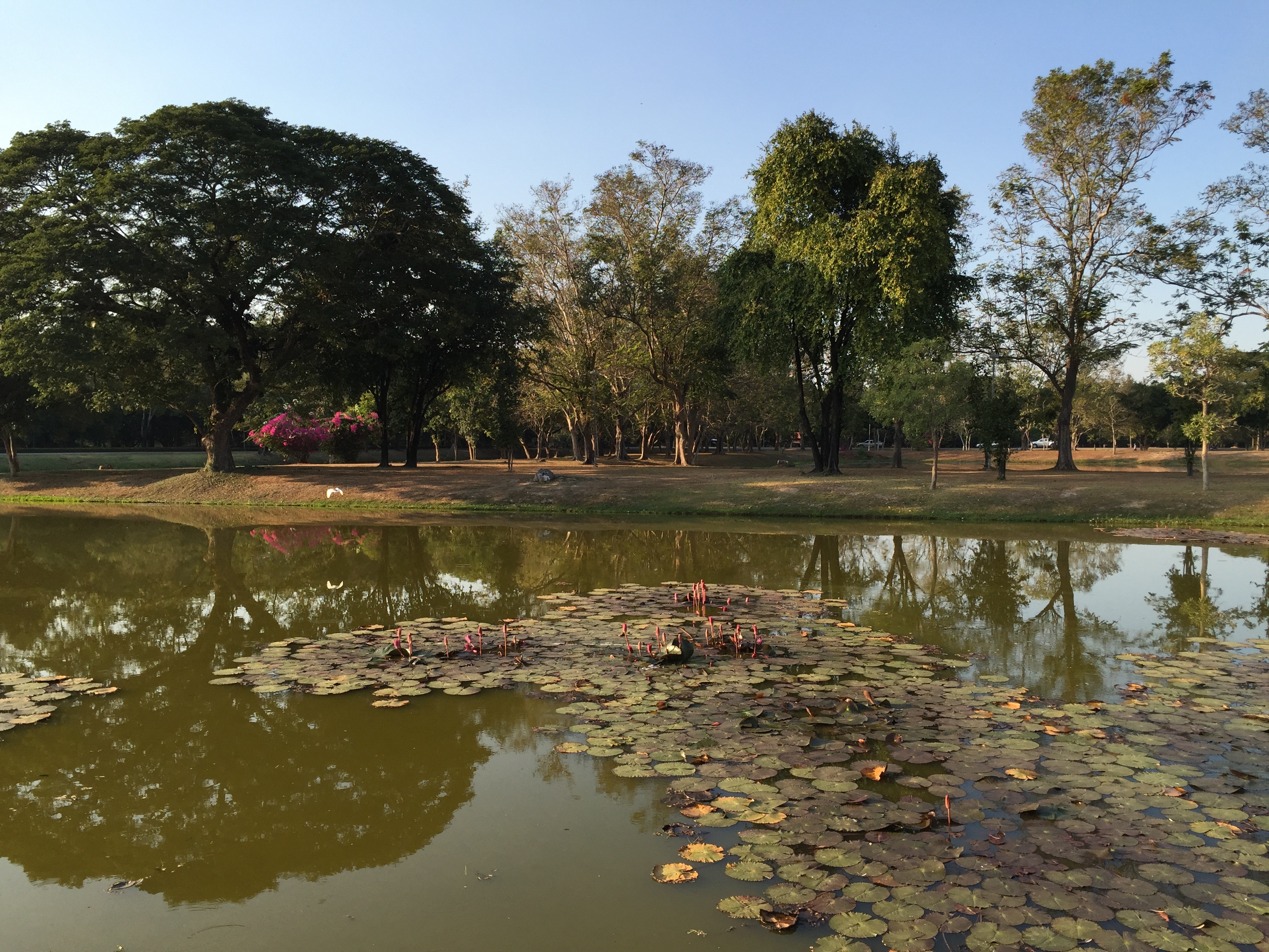 Photo Thaïlande Sukhothai 2014-12 20