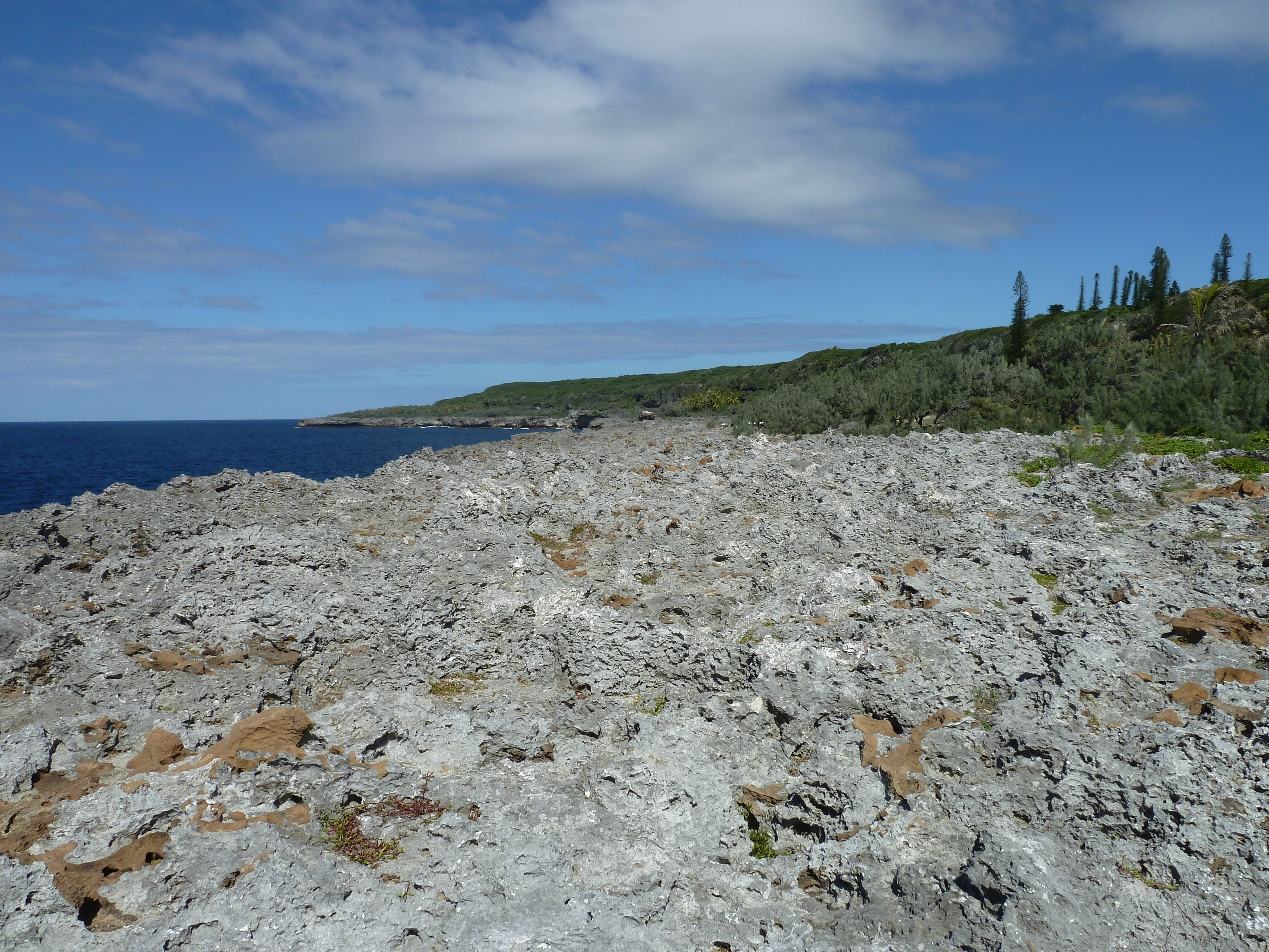 Photo Nouvelle-Calédonie Lifou Falaises de Xodre 2010-05 28
