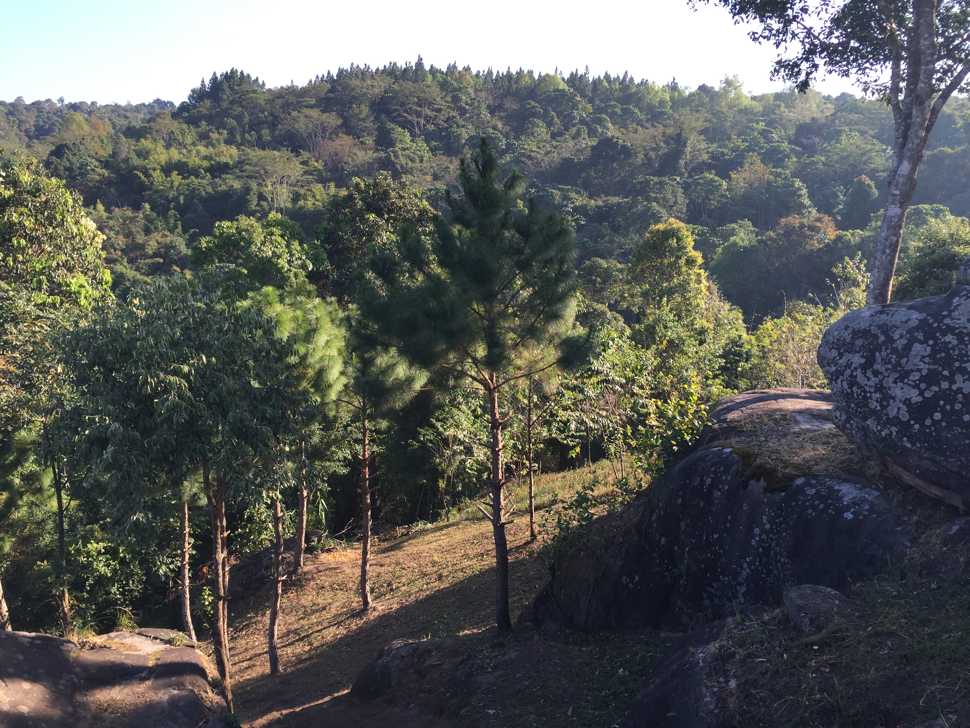 Photo Thaïlande Parc National Phu Hin Rong Kla 2014-12 268