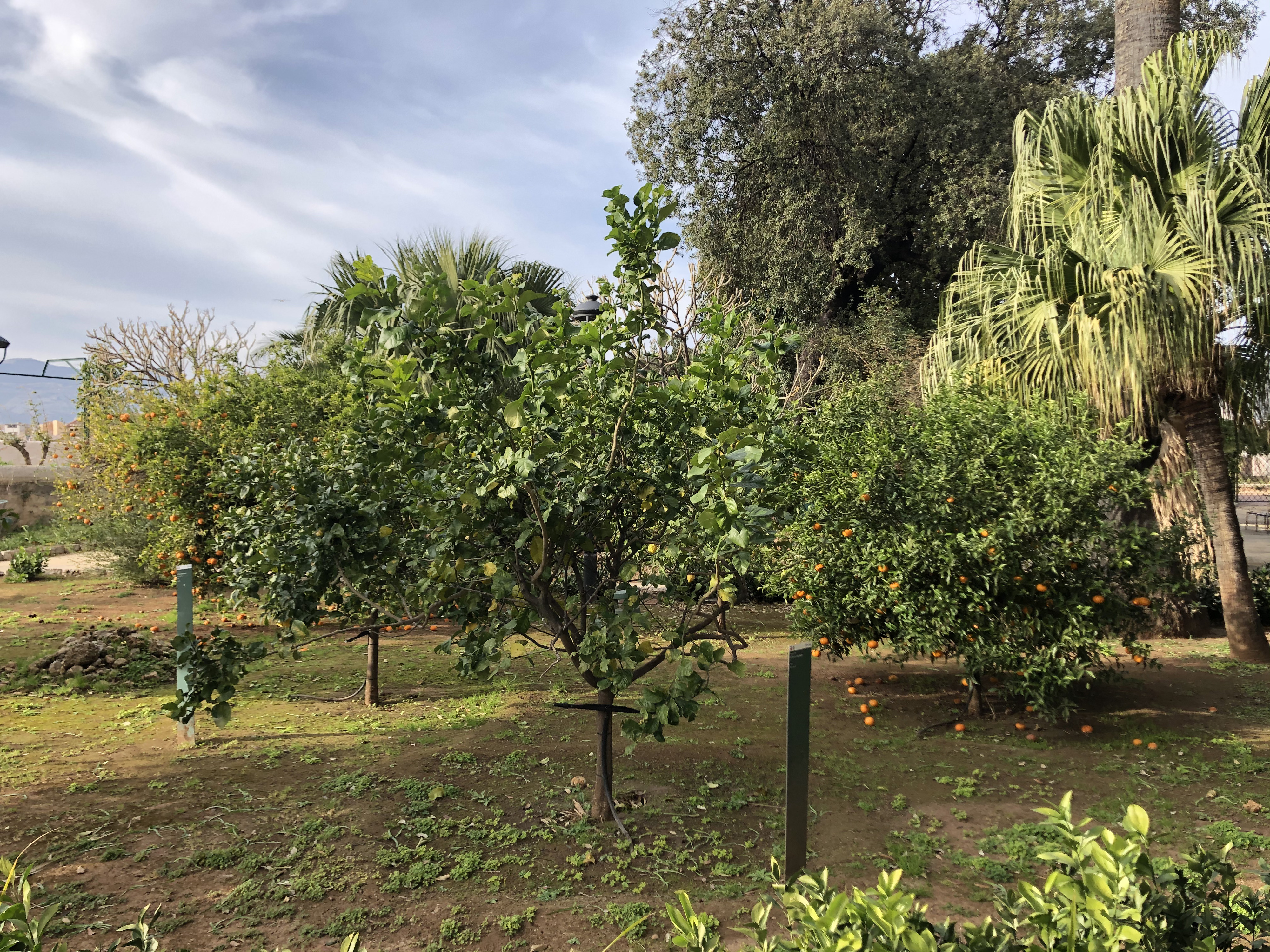Photo Italie Sicile Palermo Palais des Normands 2020-02 12