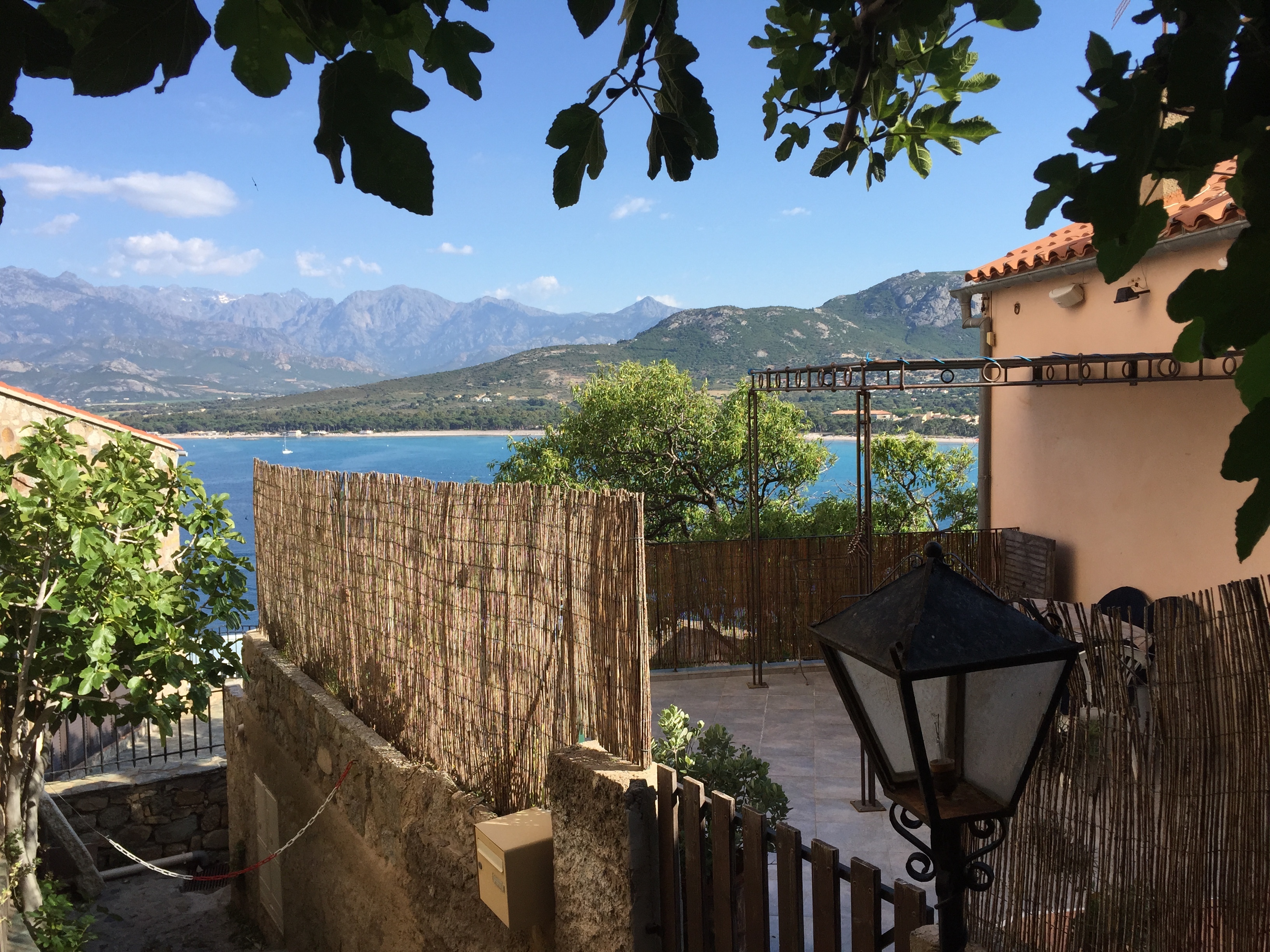 Photo France Corse Calvi 2015-05 12