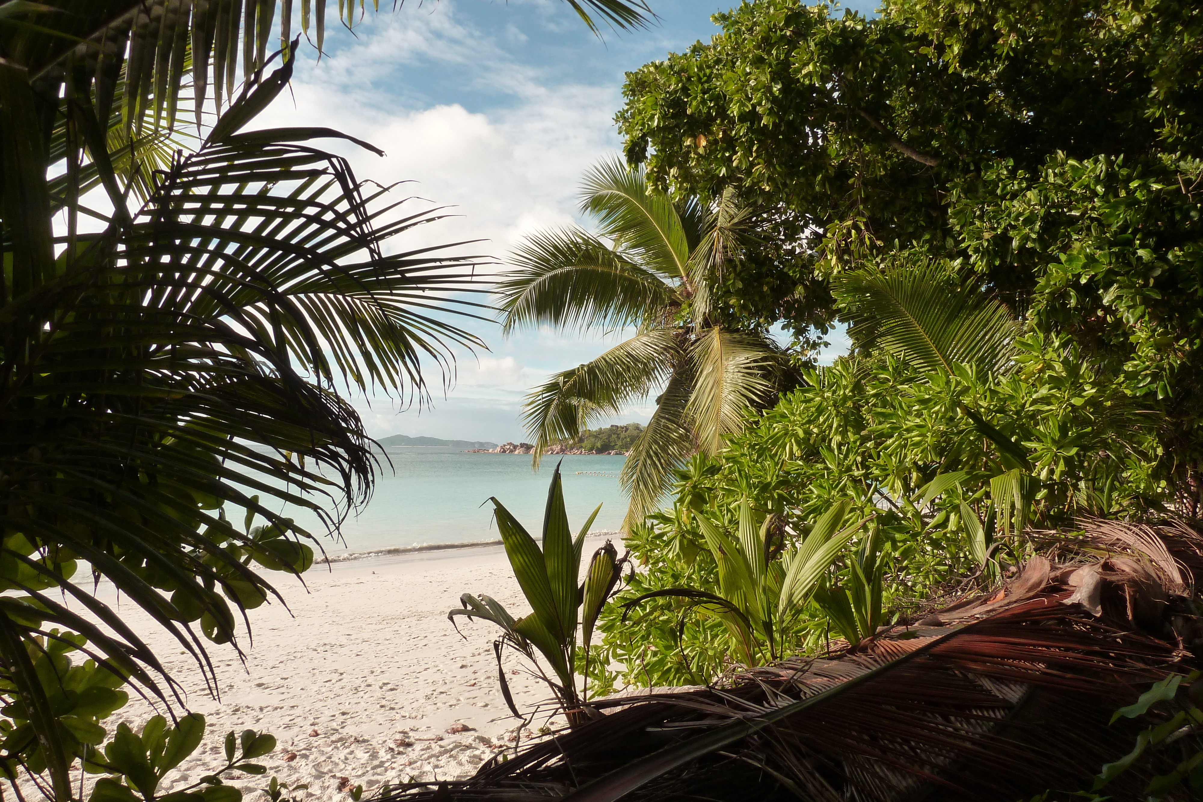 Photo Seychelles Anse Lazio 2011-10 47