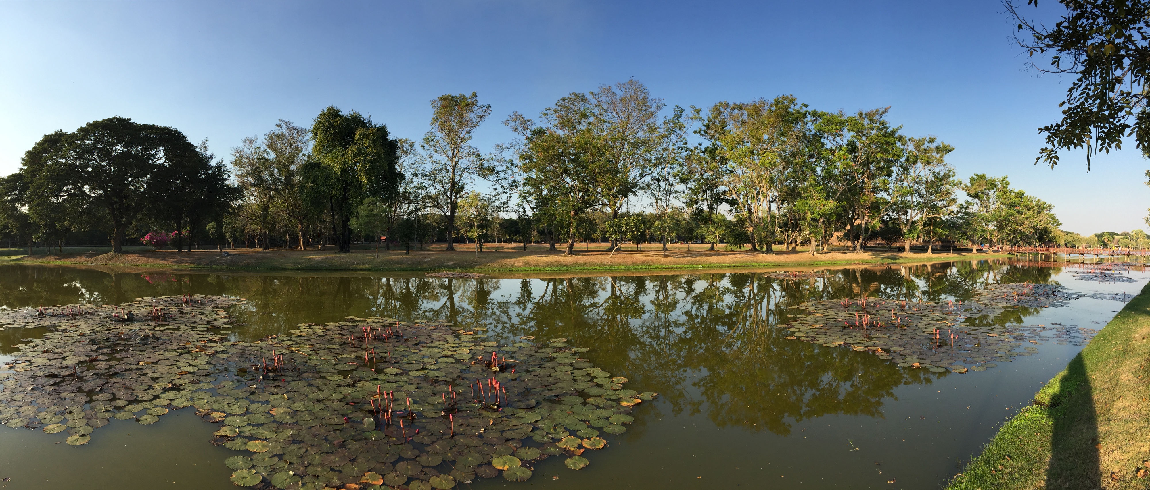 Photo Thaïlande Sukhothai 2014-12 66