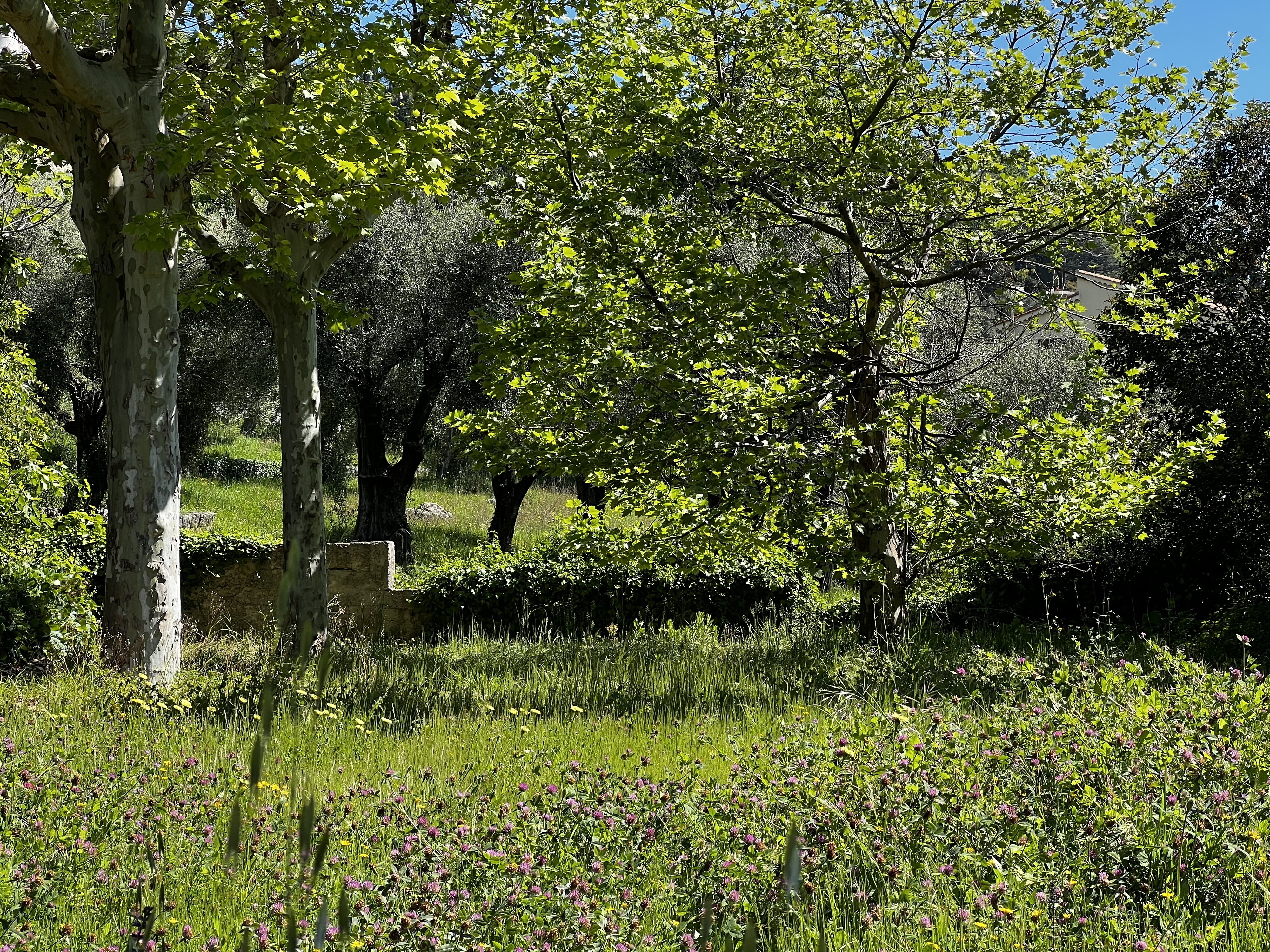Photo France Vence 2024-04 33