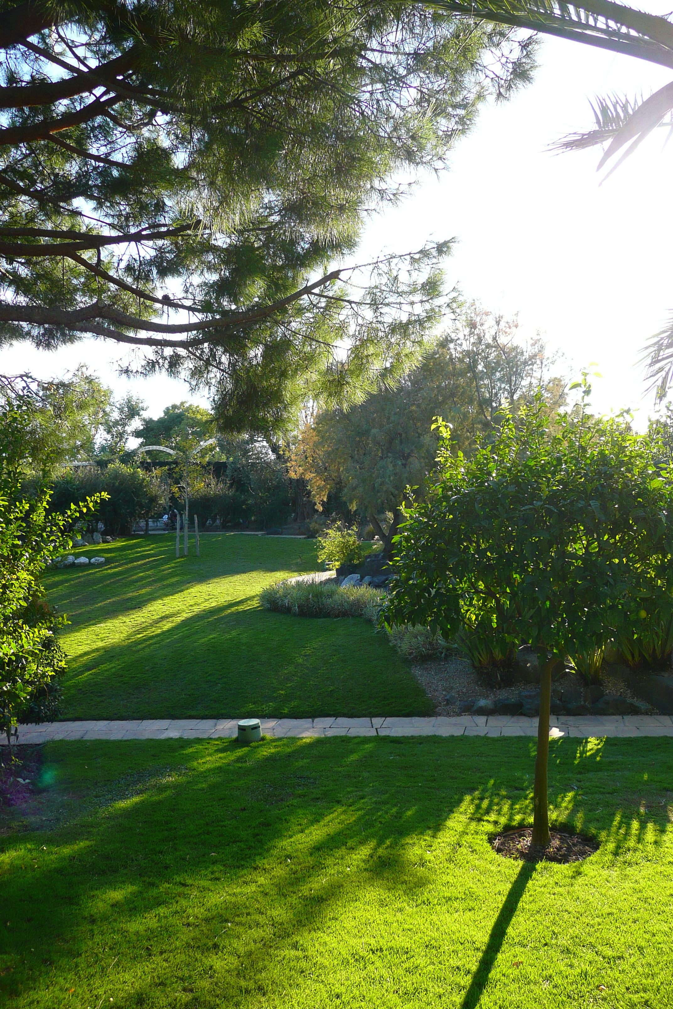 Photo France Nice Parc Phoenix 2007-10 47