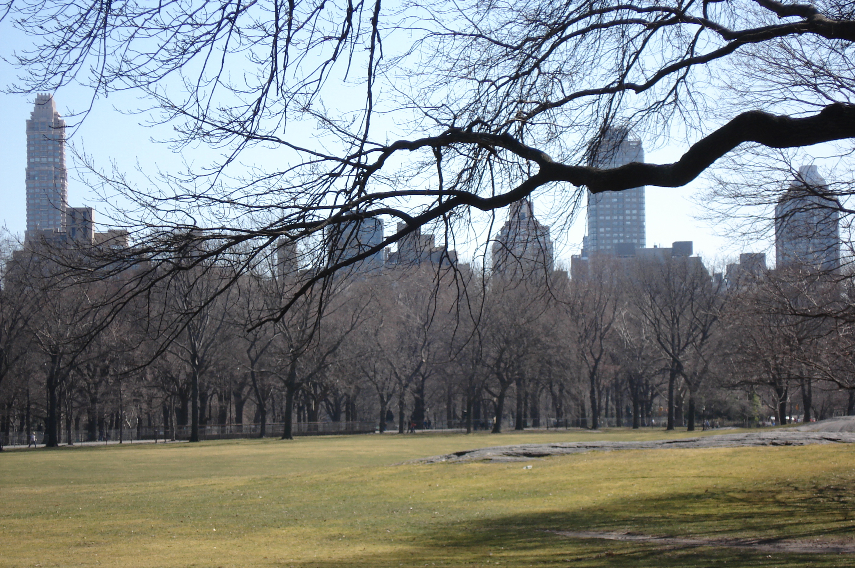 Photo États-Unis New York Central Park 2006-03 2