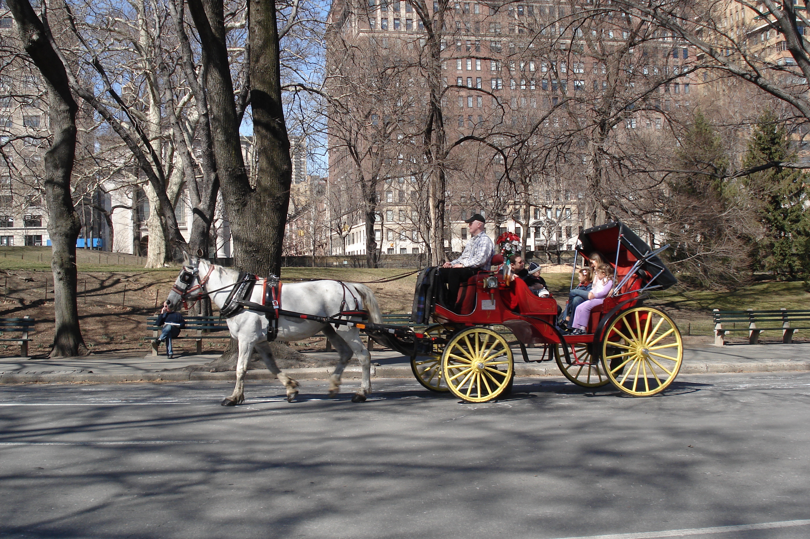 Photo États-Unis New York Central Park 2006-03 28
