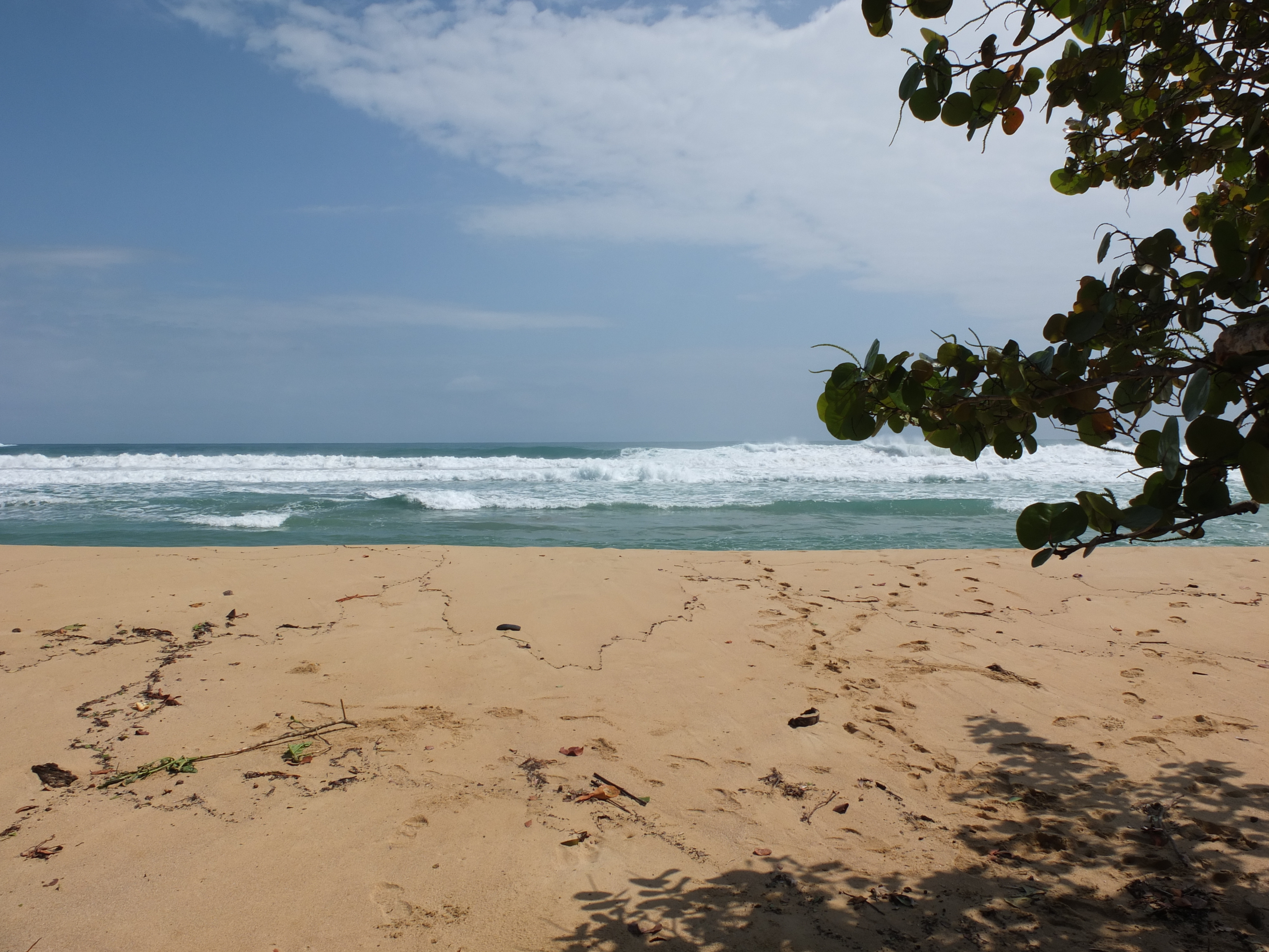 Photo Panama Bastimentos 2015-03 56