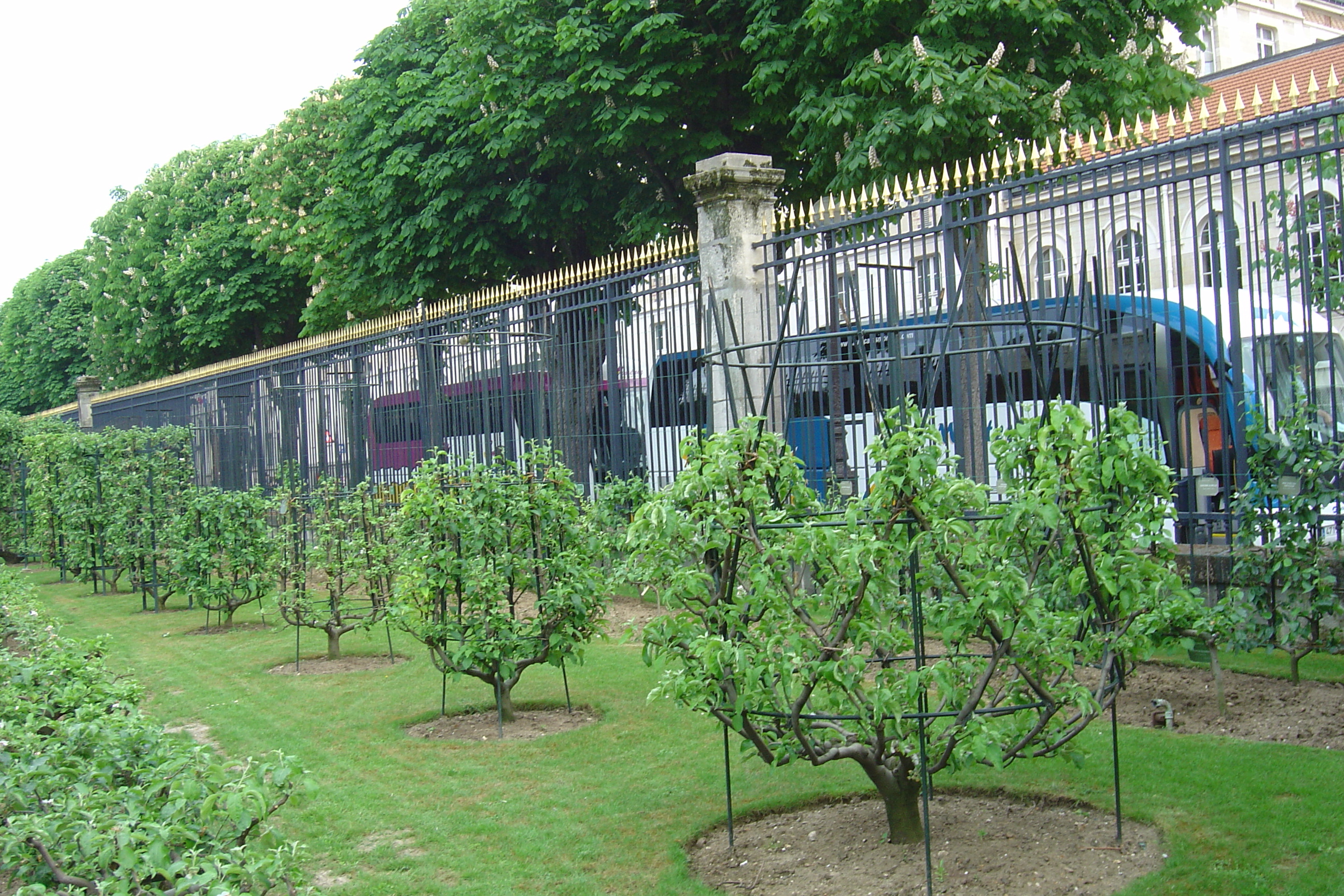 Photo France Paris Jardin du Luxembourg 2007-04 24