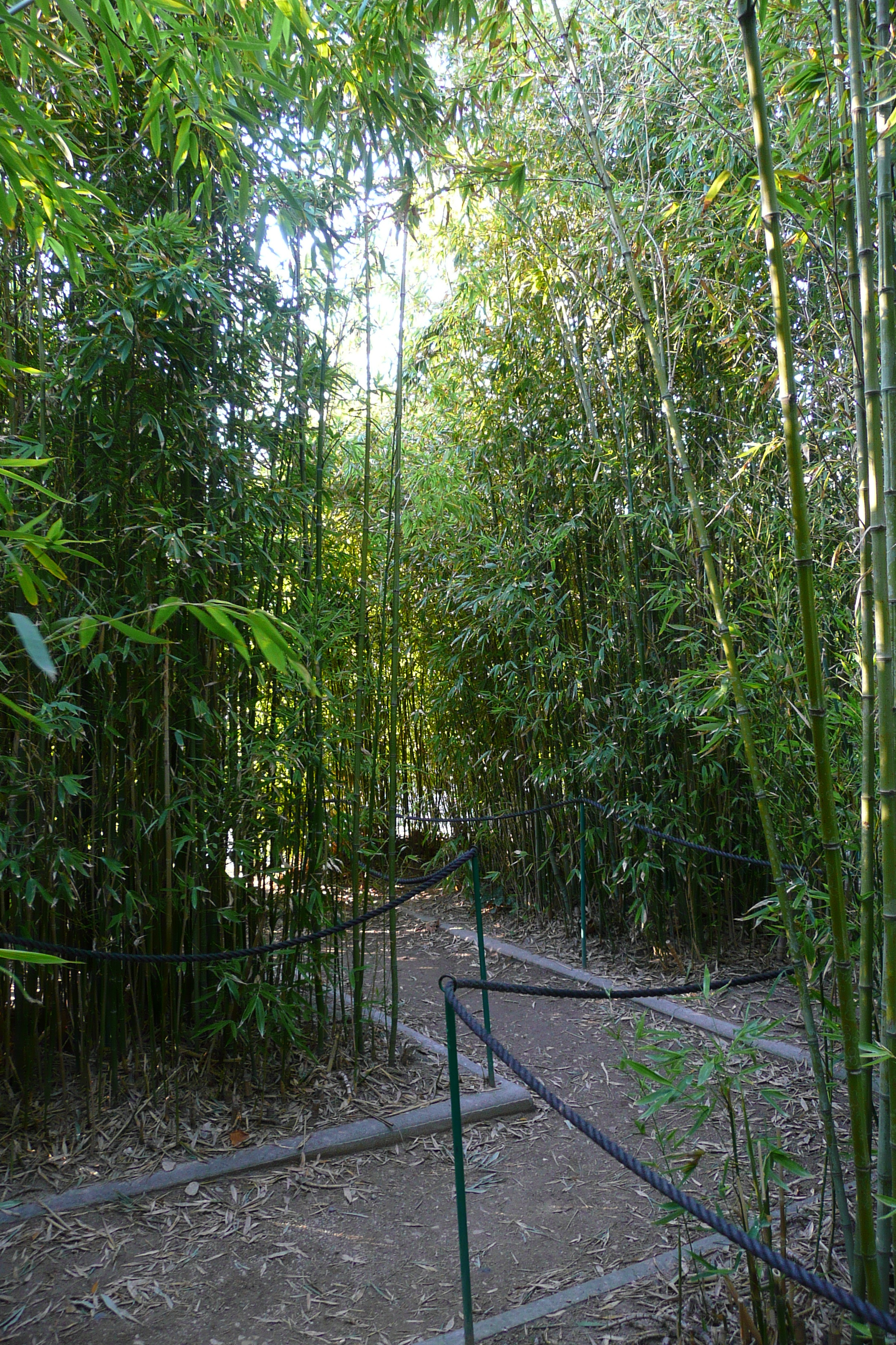 Photo France Nice Parc Phoenix 2007-10 63