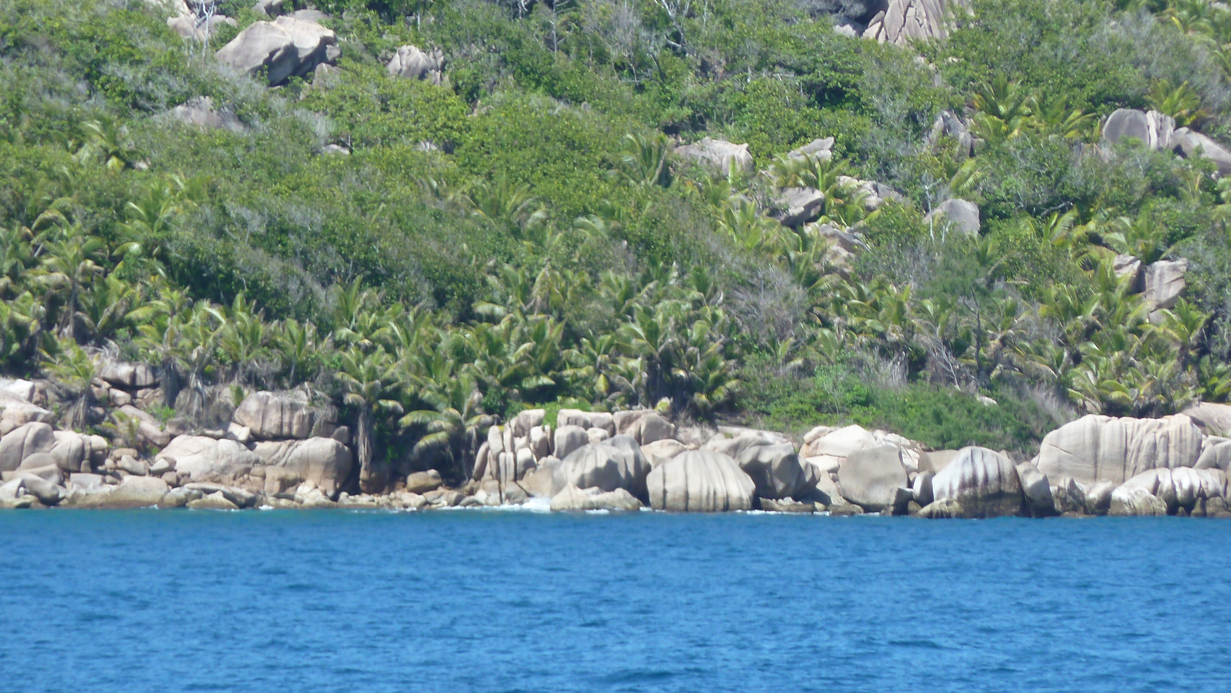 Photo Seychelles Grande Soeur 2011-10 71