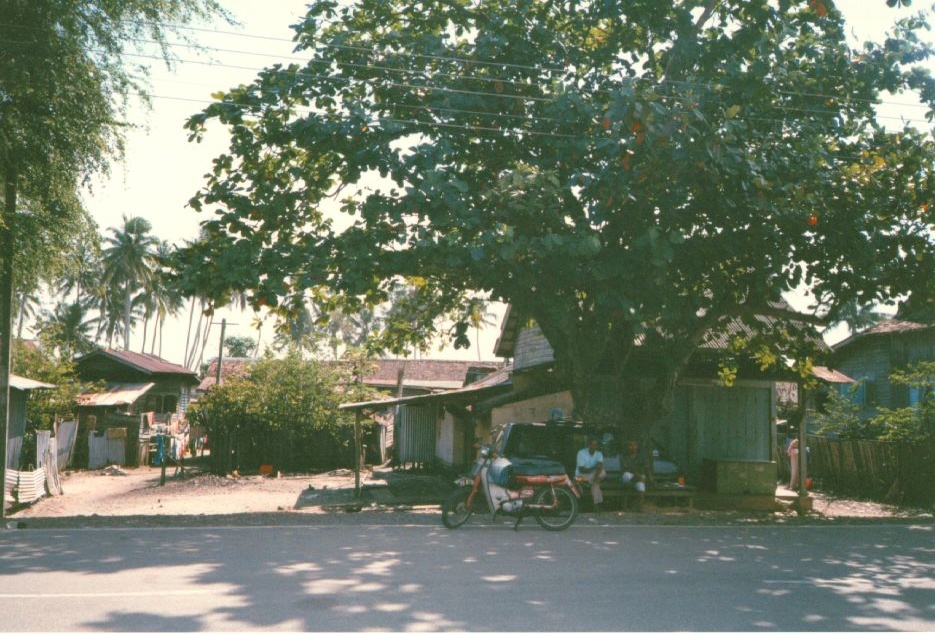 Photo Malaisie 1994-02 10