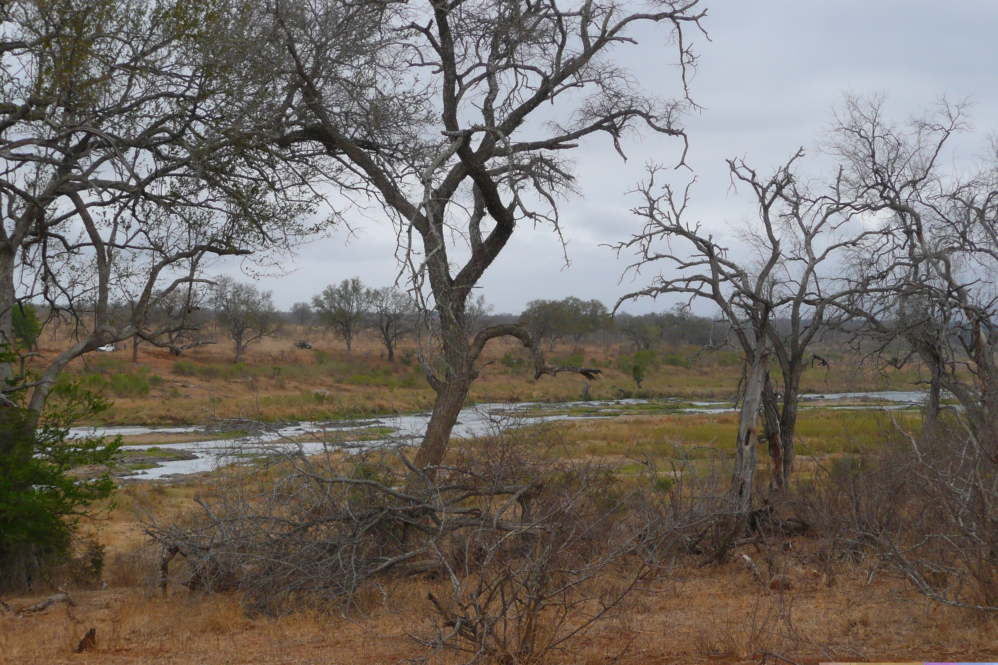 Photo Afrique du Sud Parc National Kruger rivière Crocodile 2008-09 3