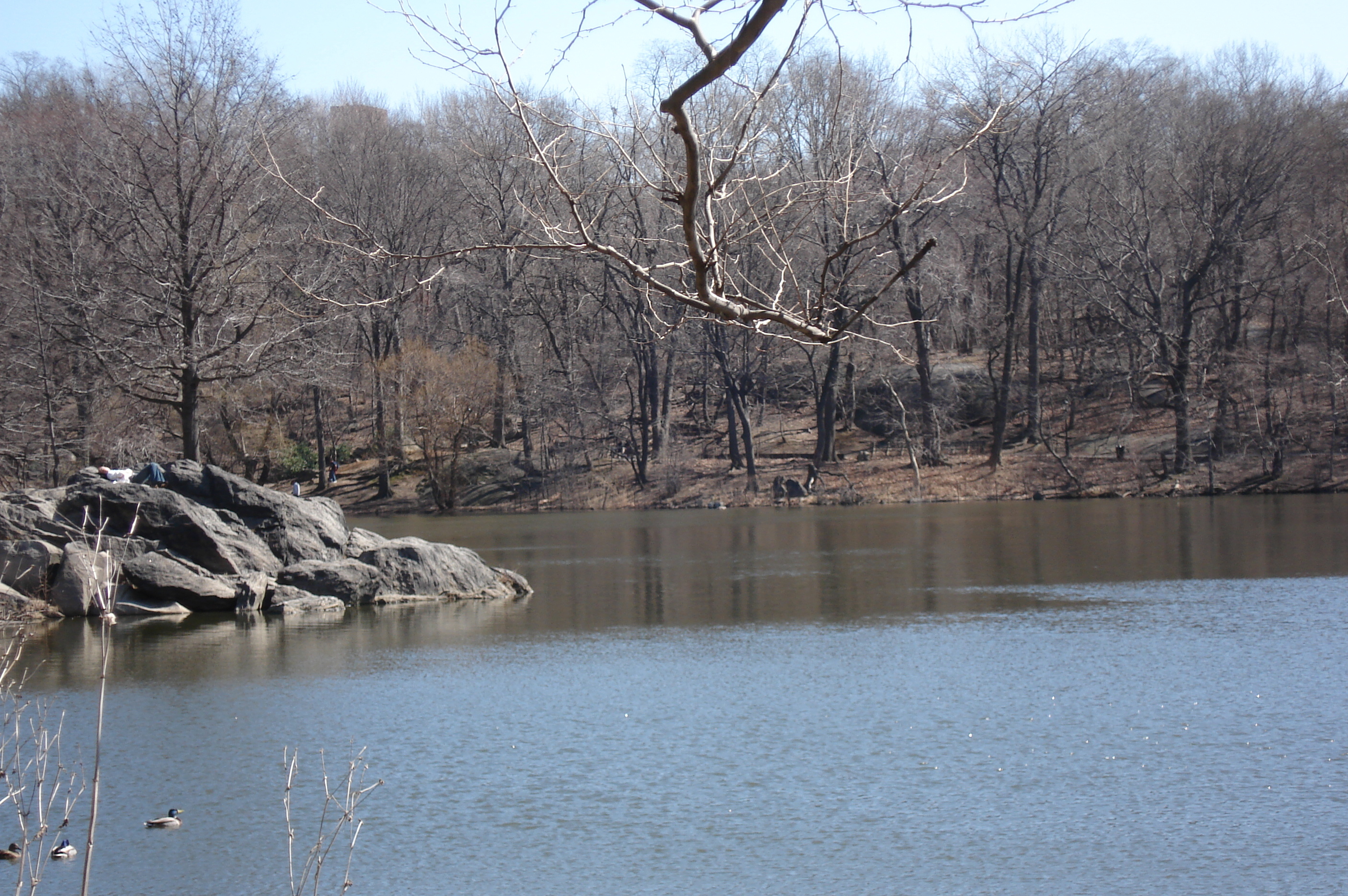Photo États-Unis New York Central Park 2006-03 21
