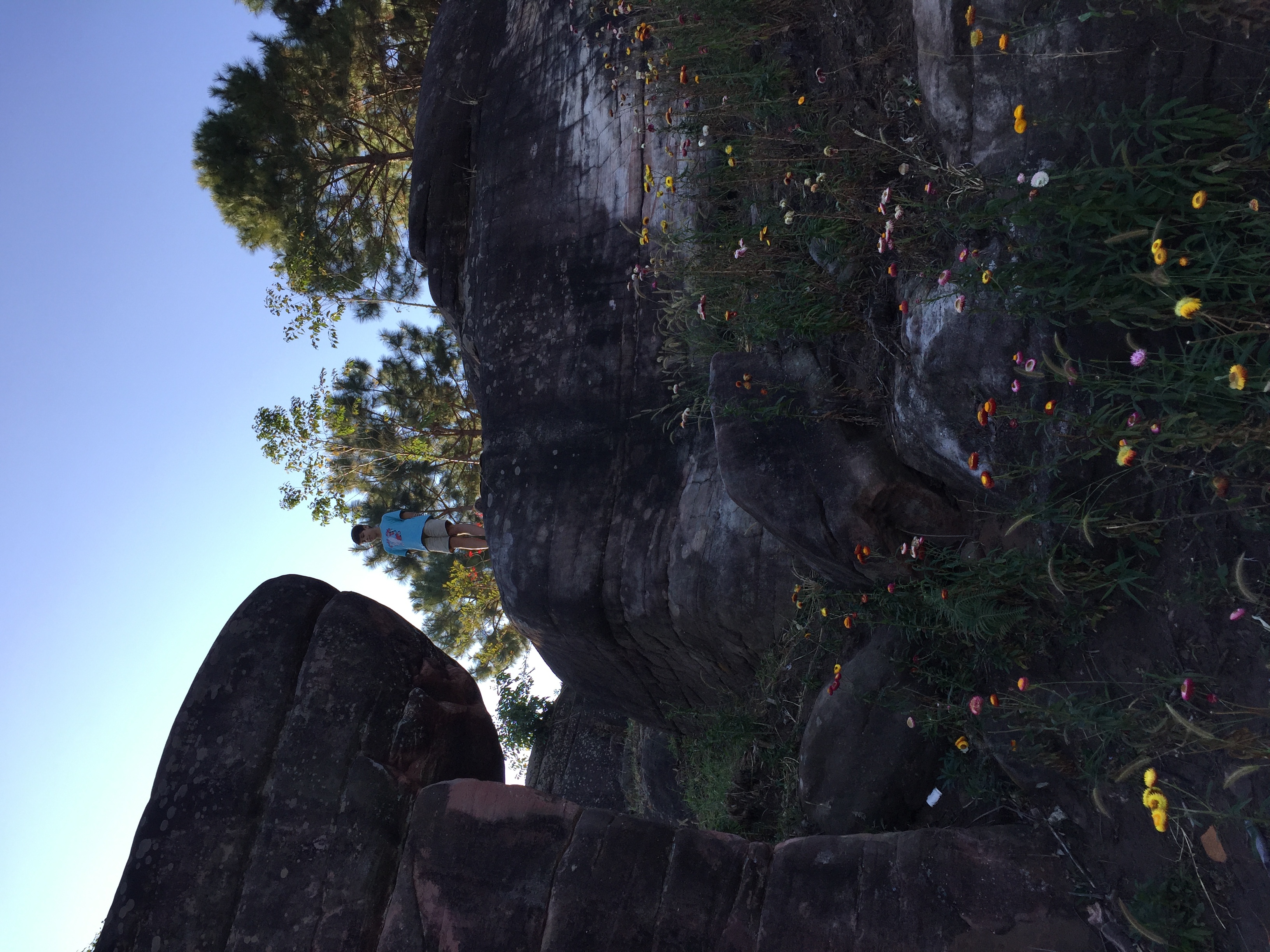 Photo Thaïlande Parc National Phu Hin Rong Kla 2014-12 175