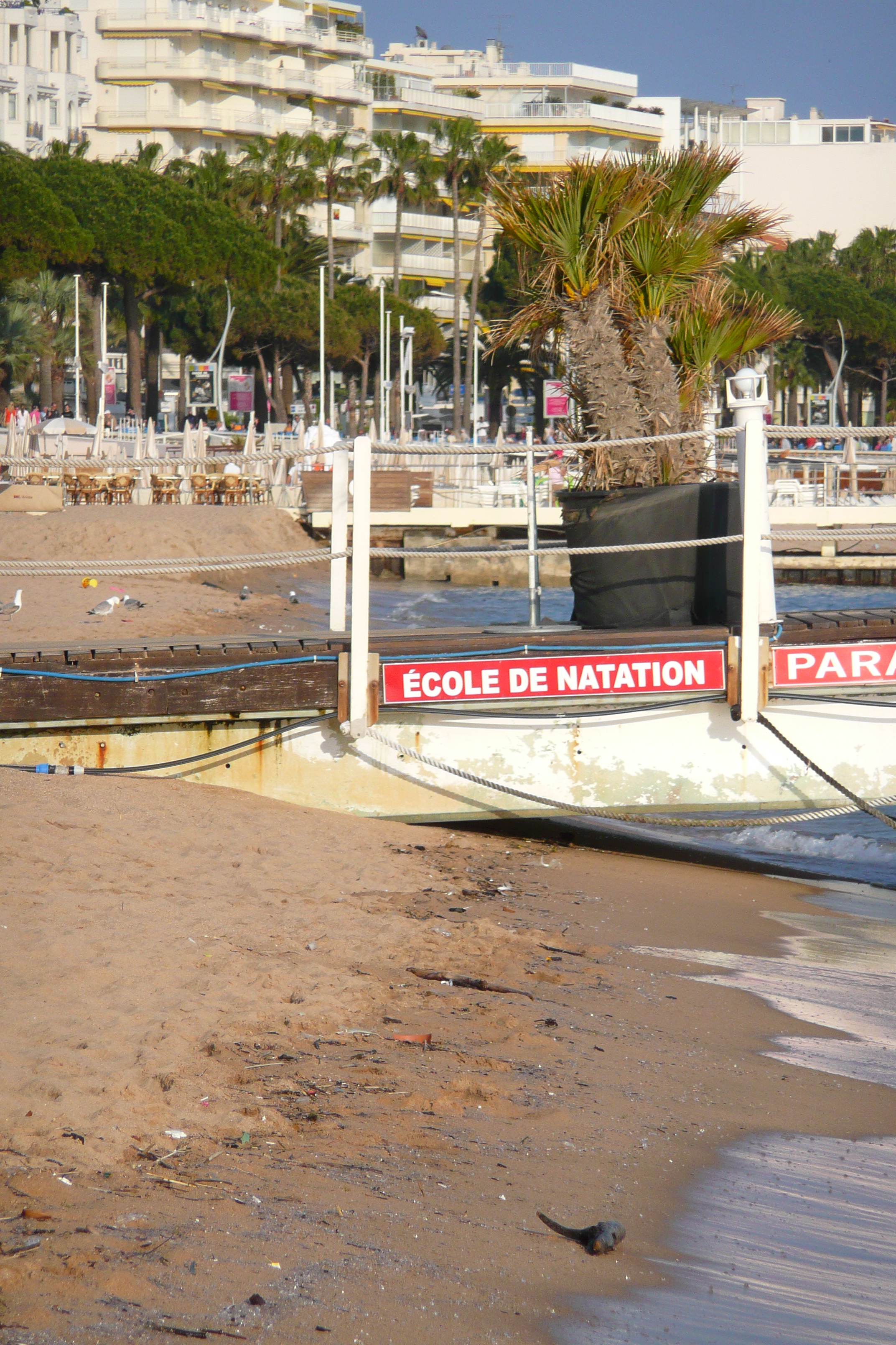 Photo France Cannes Plage 2008-04 37