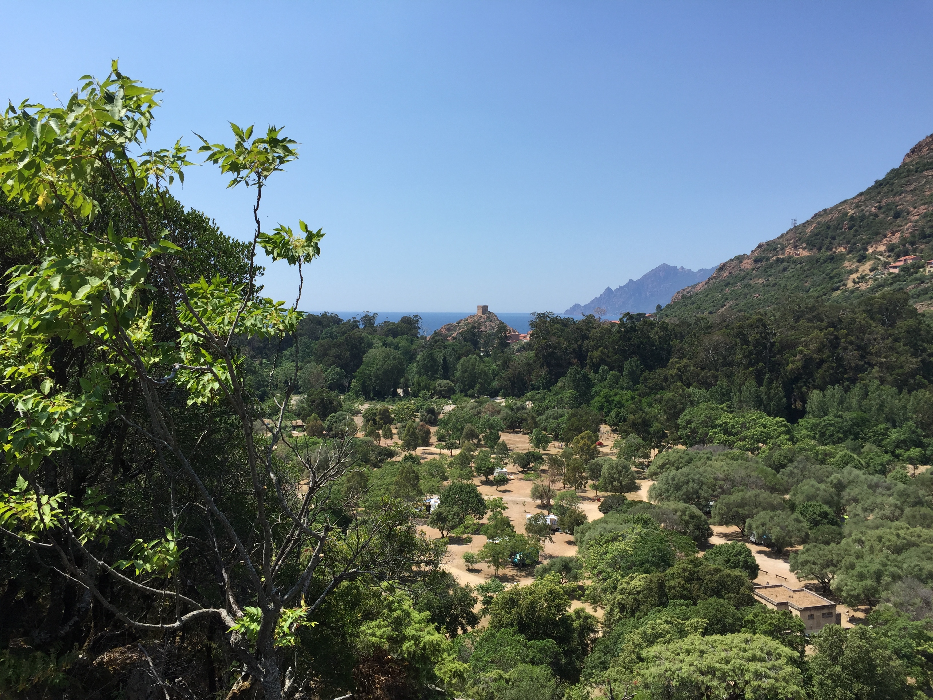 Photo France Corse Porto 2015-05 47