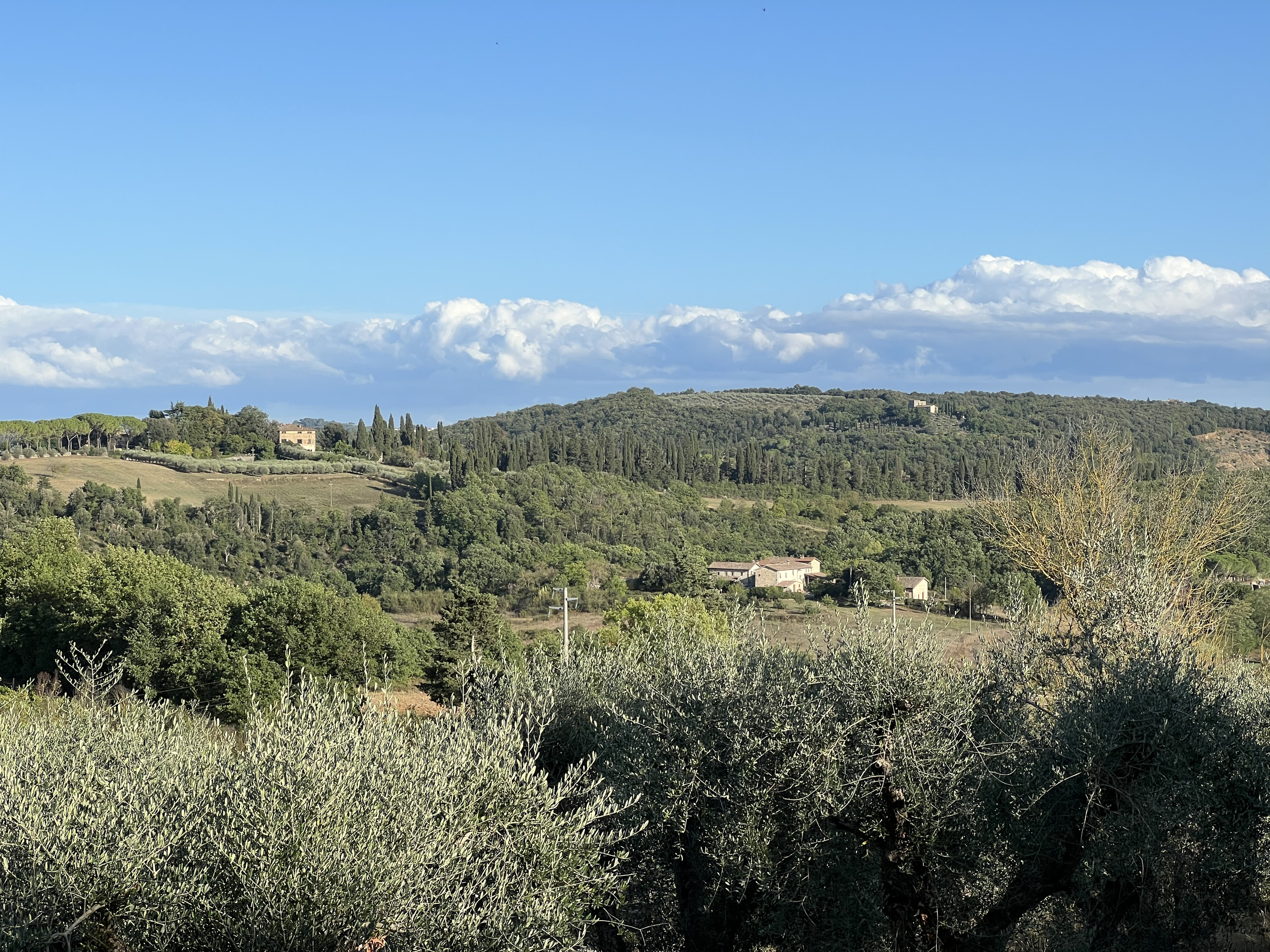 Photo Italie Monteriggioni 2021-09 9