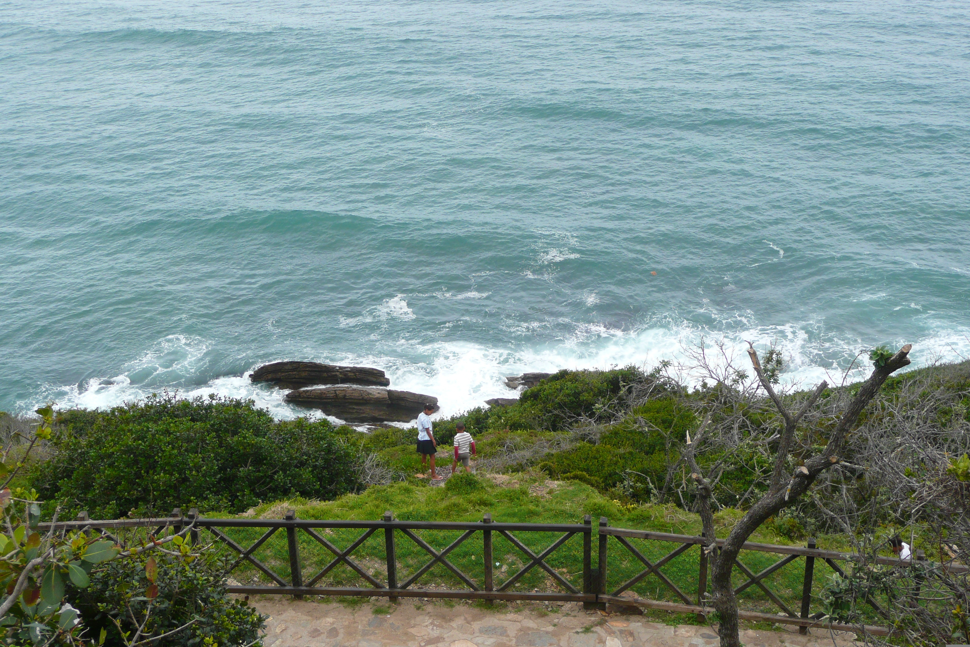 Photo Afrique du Sud Route de Harmanus à Knysna 2008-09 128