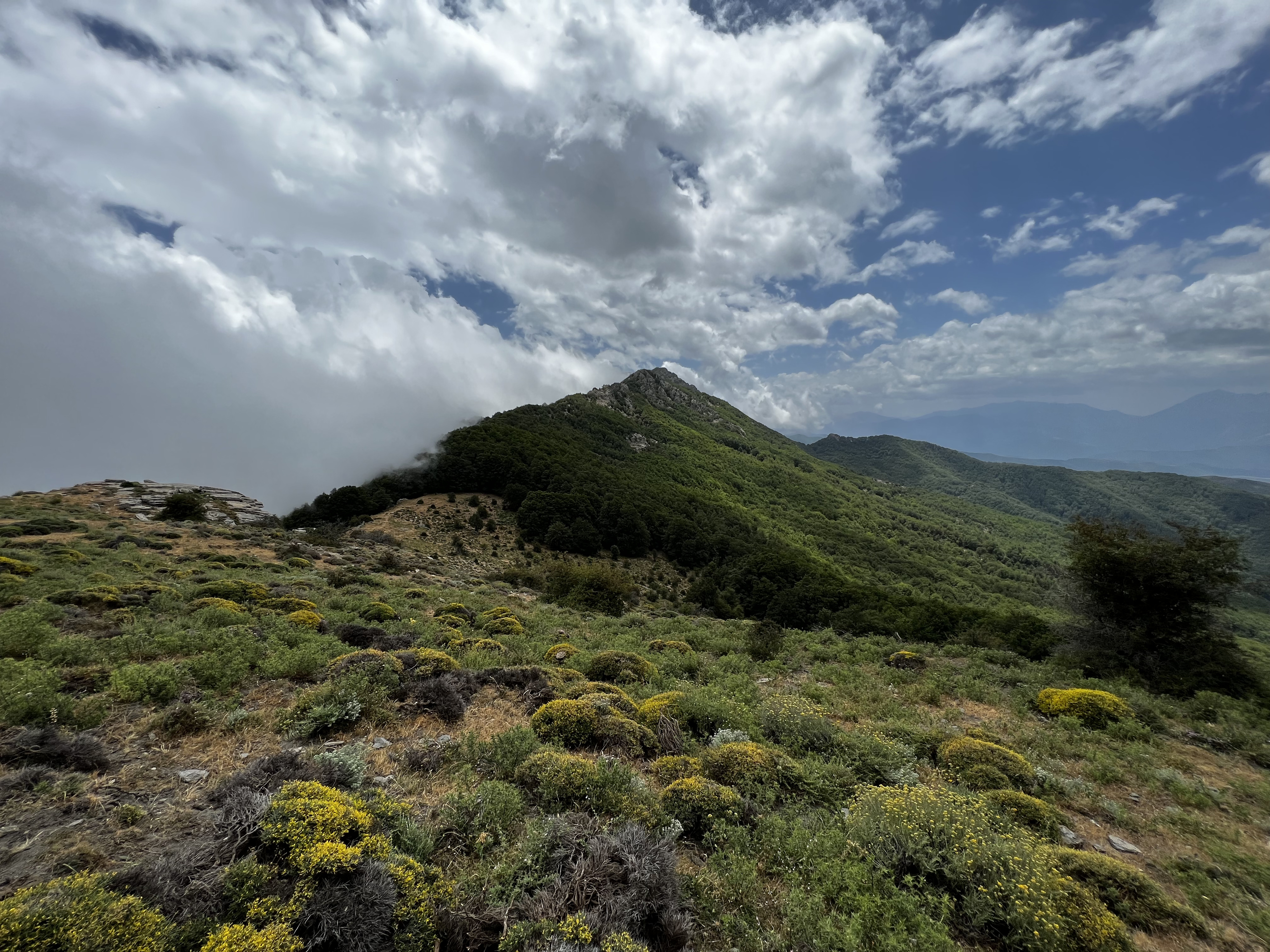 Photo France Corse Refuge de Callerucciu 2022-06 46