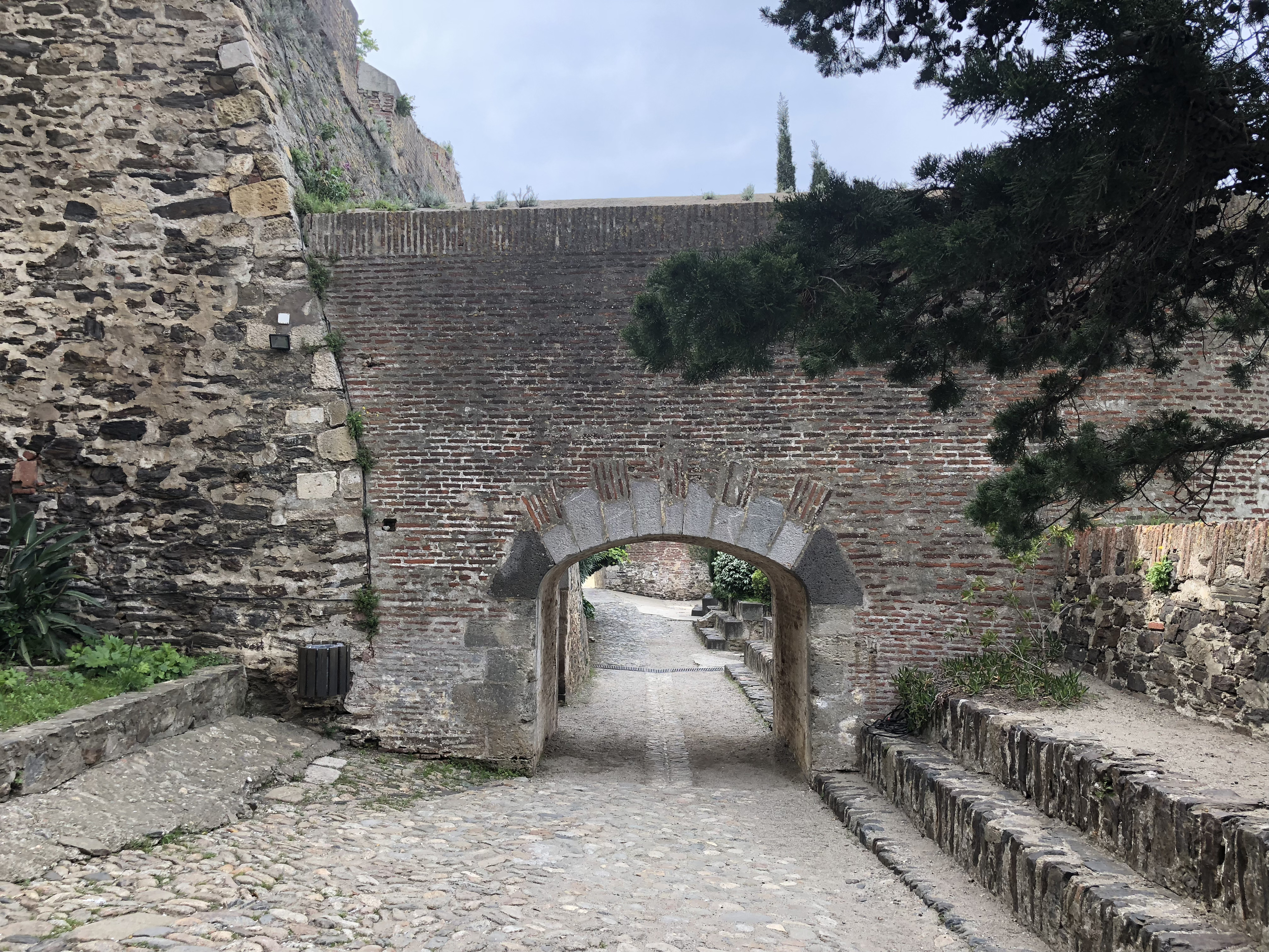 Photo France Collioure 2018-04 226