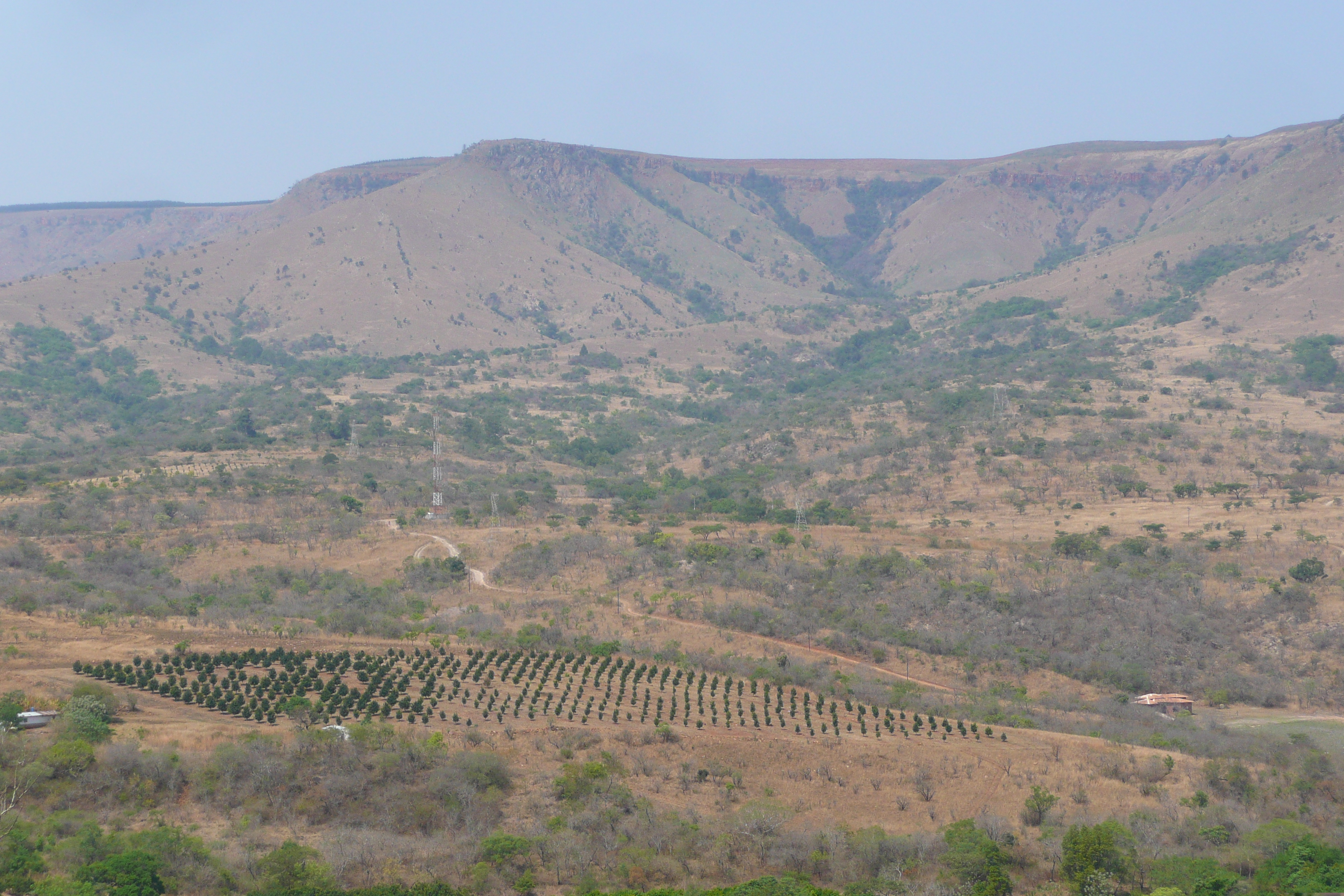 Photo Afrique du Sud route de Nelspruit à Johannesburg 2008-09 49