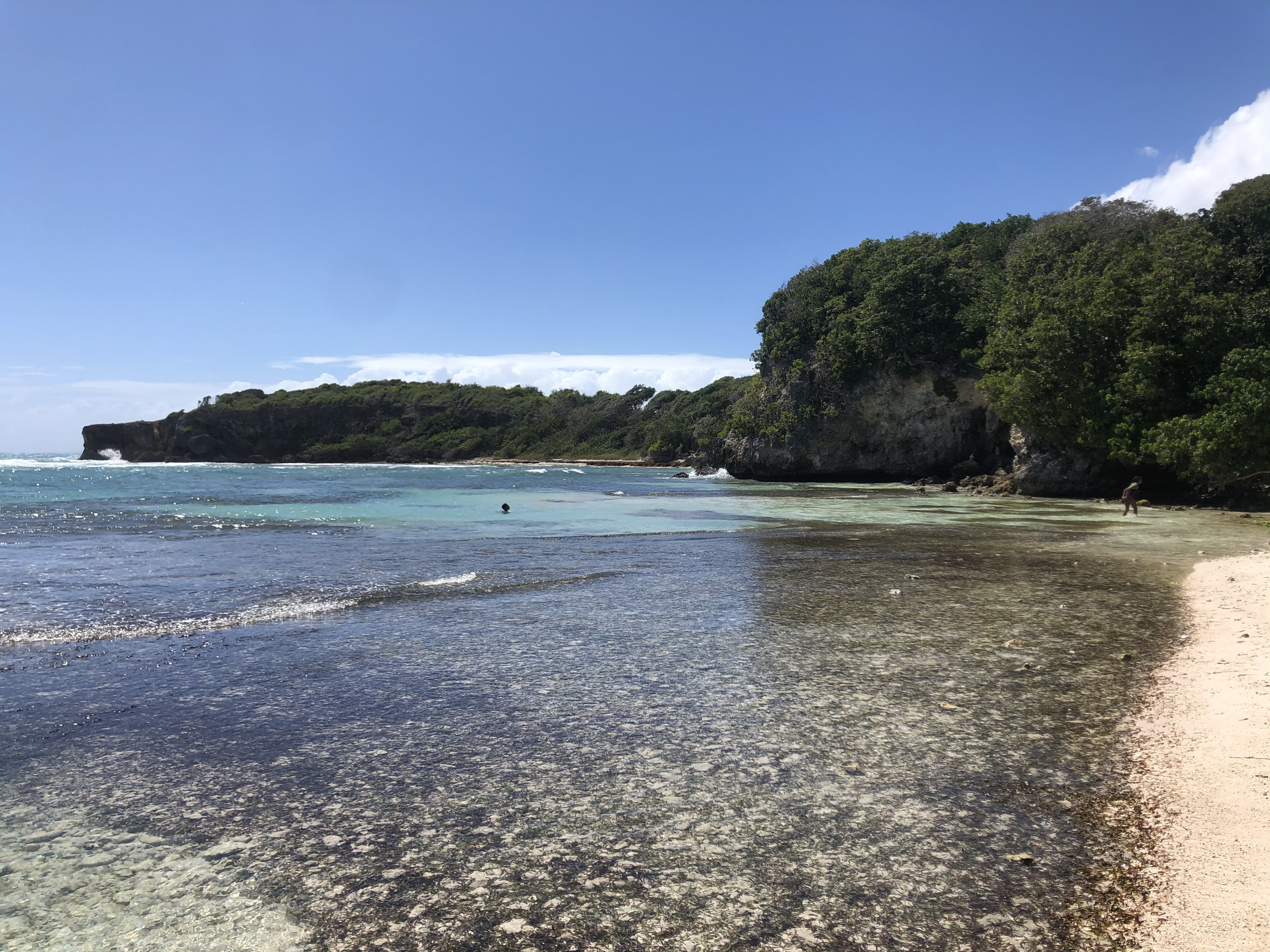 Photo Guadeloupe Pointe des Châteaux 2021-02 218
