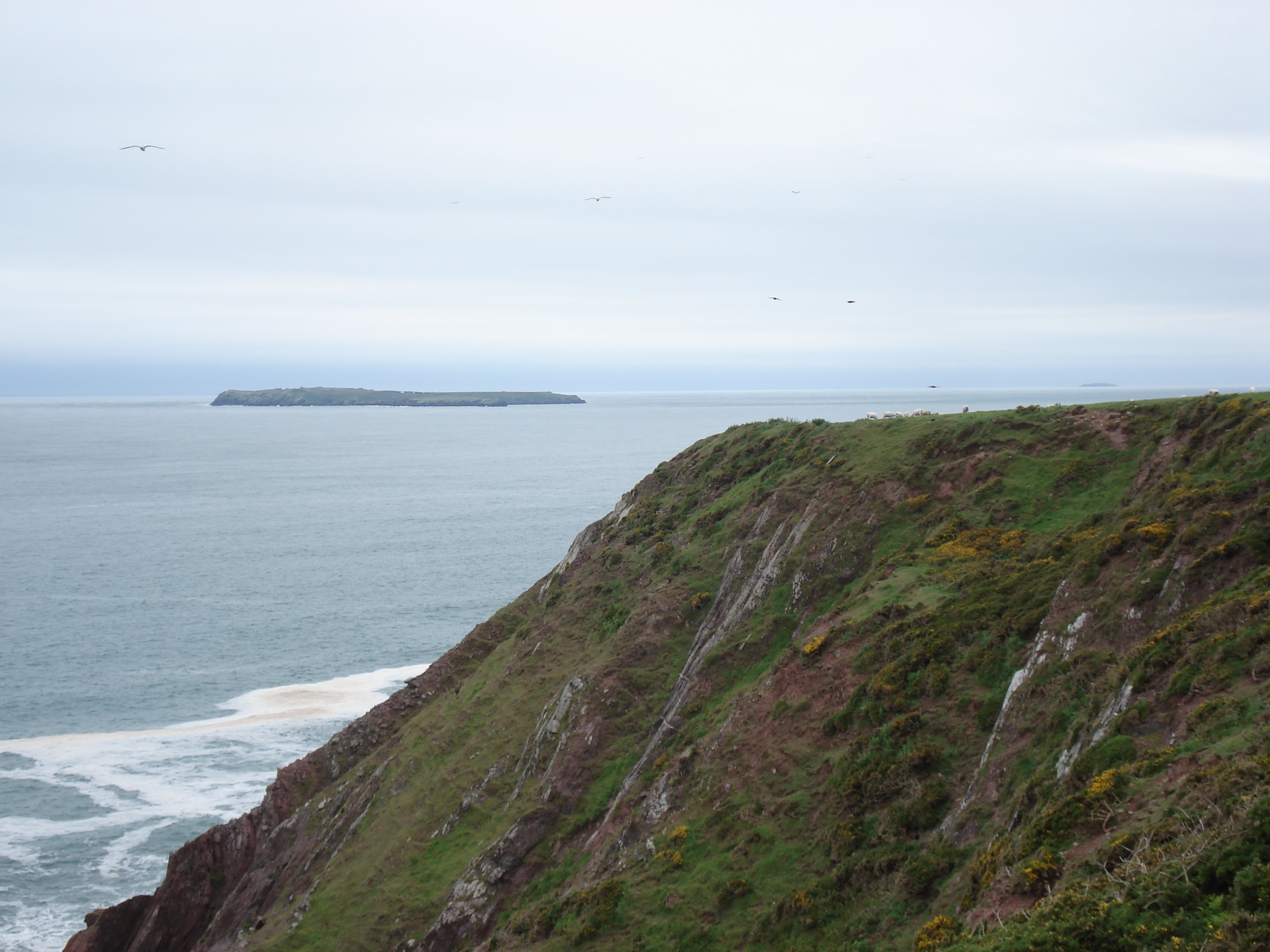 Photo Royaume-Uni Pembrokeshire Saint Ann's Head 2006-05 4