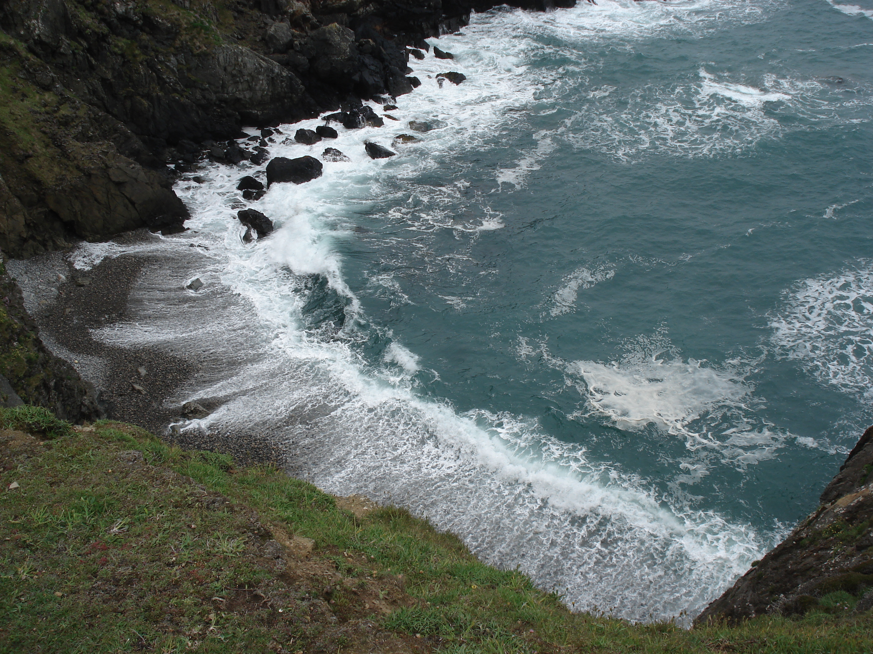 Photo Royaume-Uni Pembrokeshire Martins Havens 2006-05 8