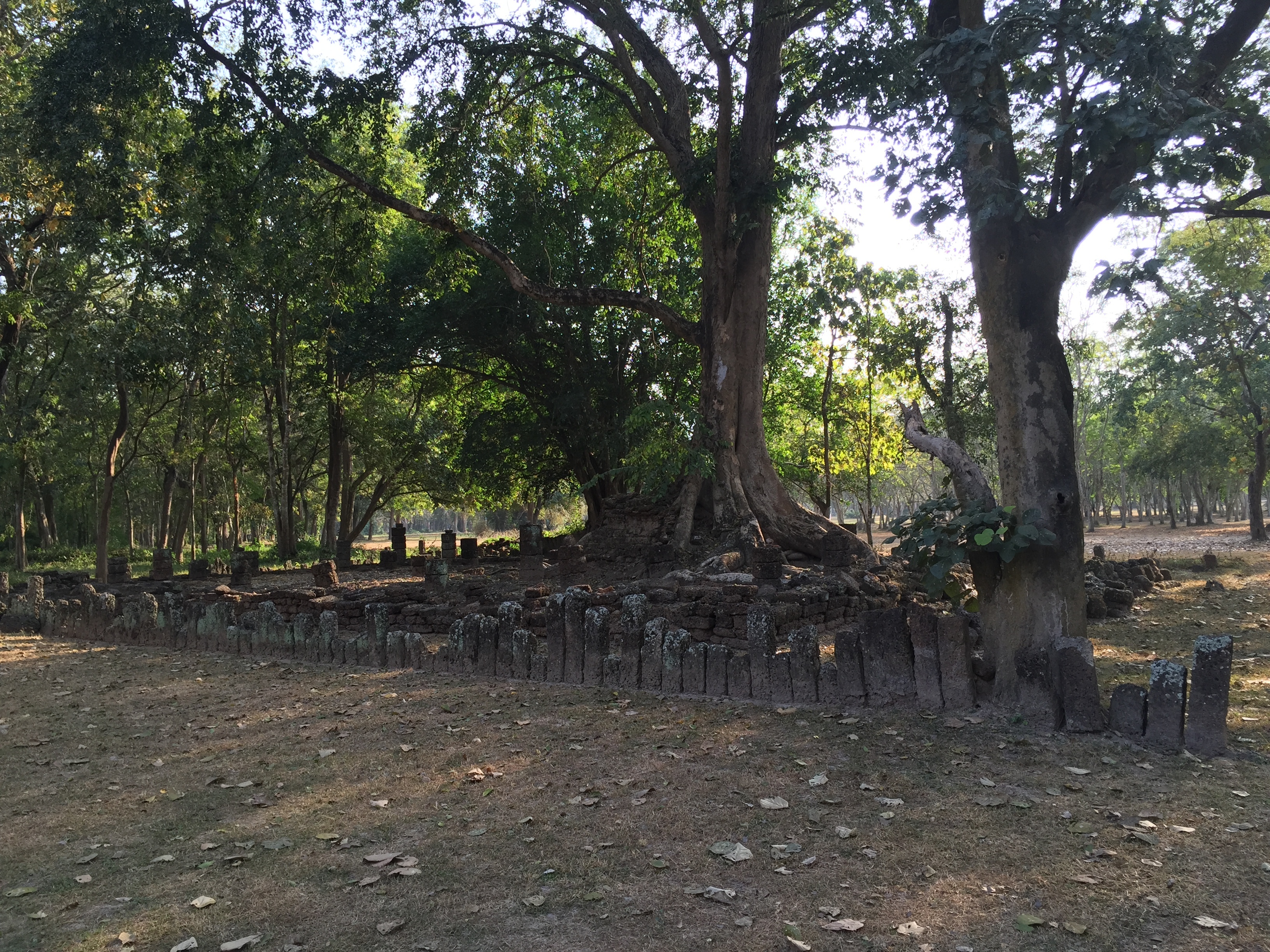Photo Thaïlande Parc Si satchanalai 2014-12 173