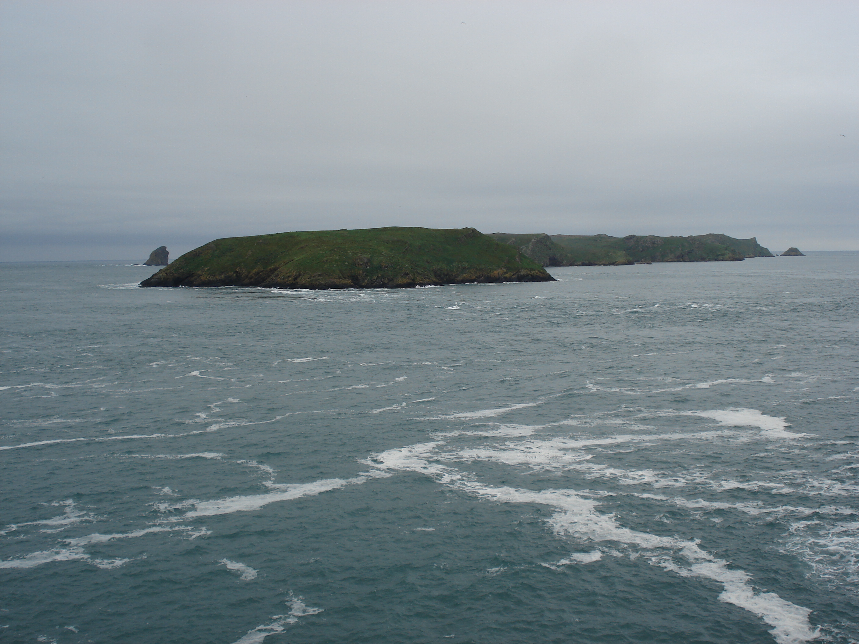 Photo Royaume-Uni Pembrokeshire Martins Havens 2006-05 2