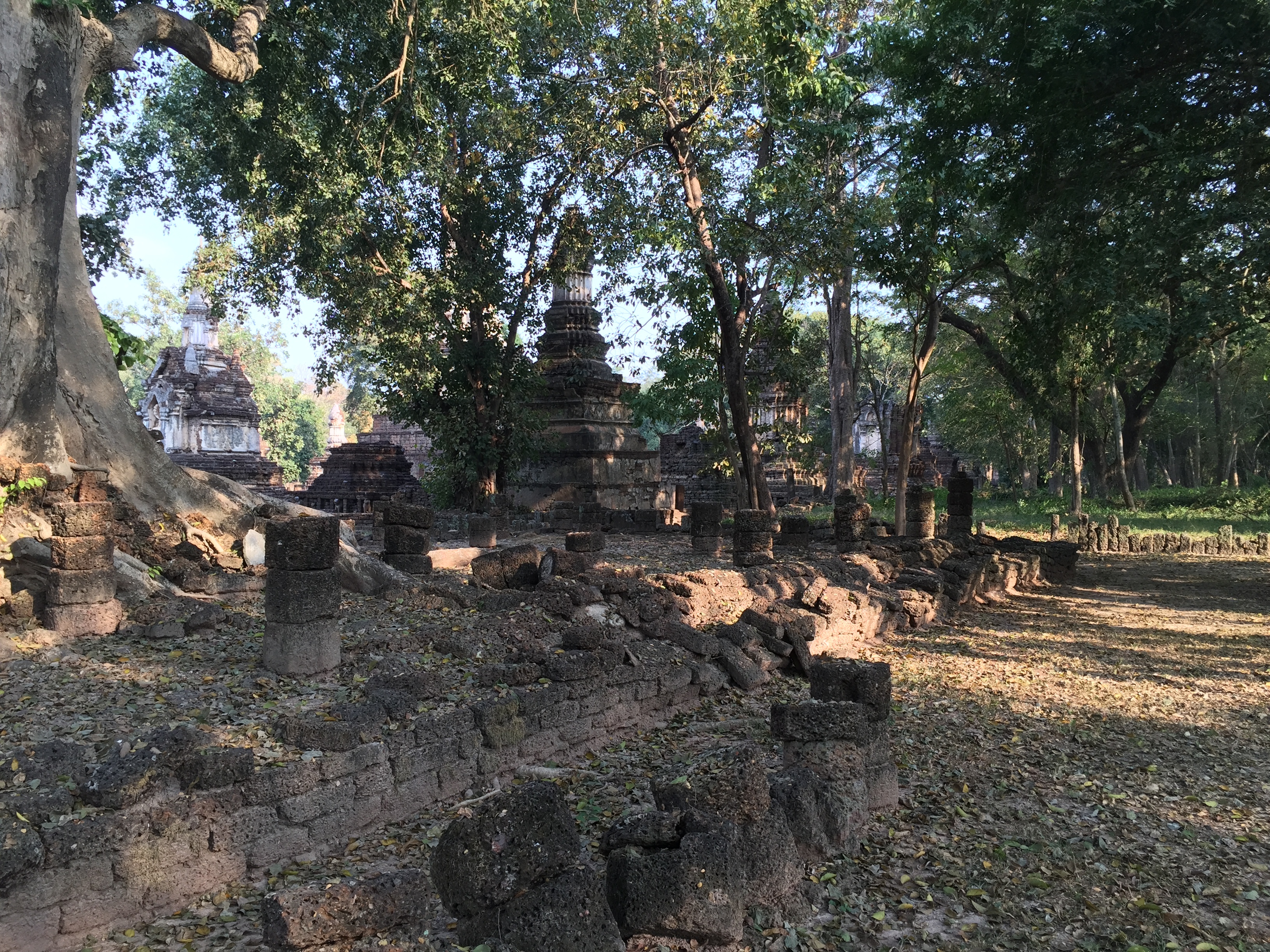 Photo Thaïlande Parc Si satchanalai 2014-12 161