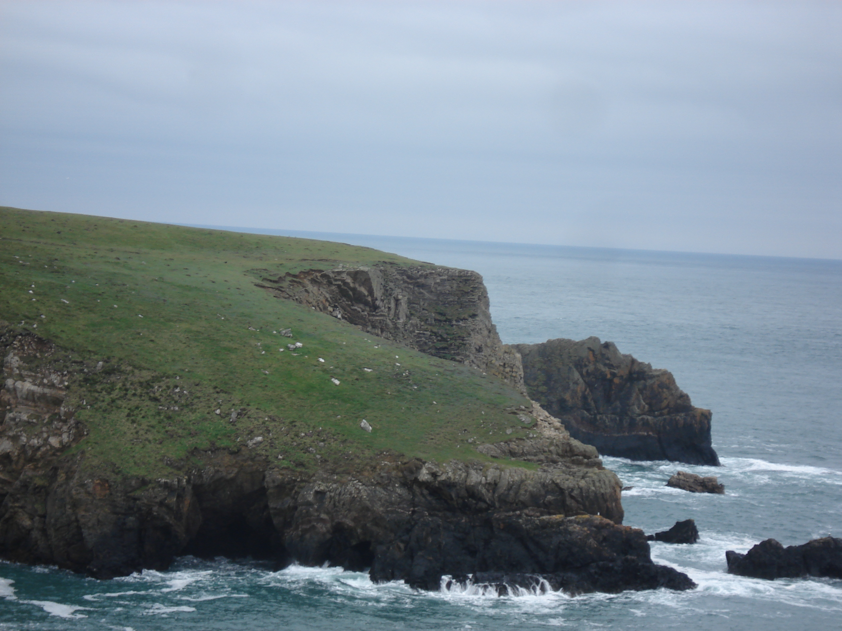Photo Royaume-Uni Pembrokeshire Martins Havens 2006-05 3